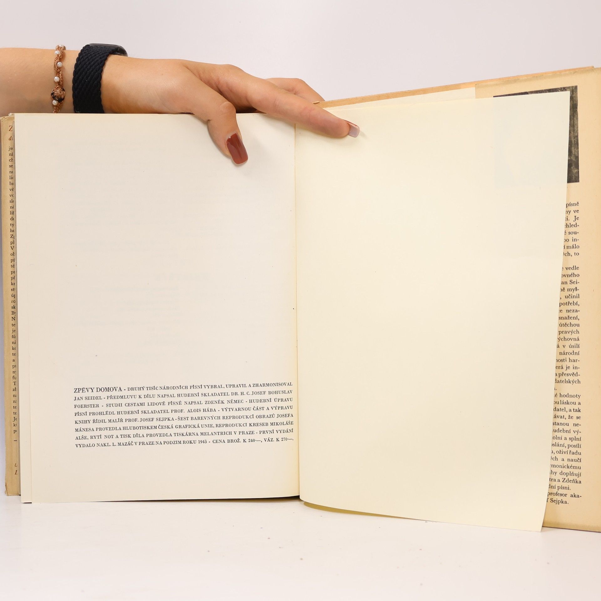 Various authors Zpěvy domova