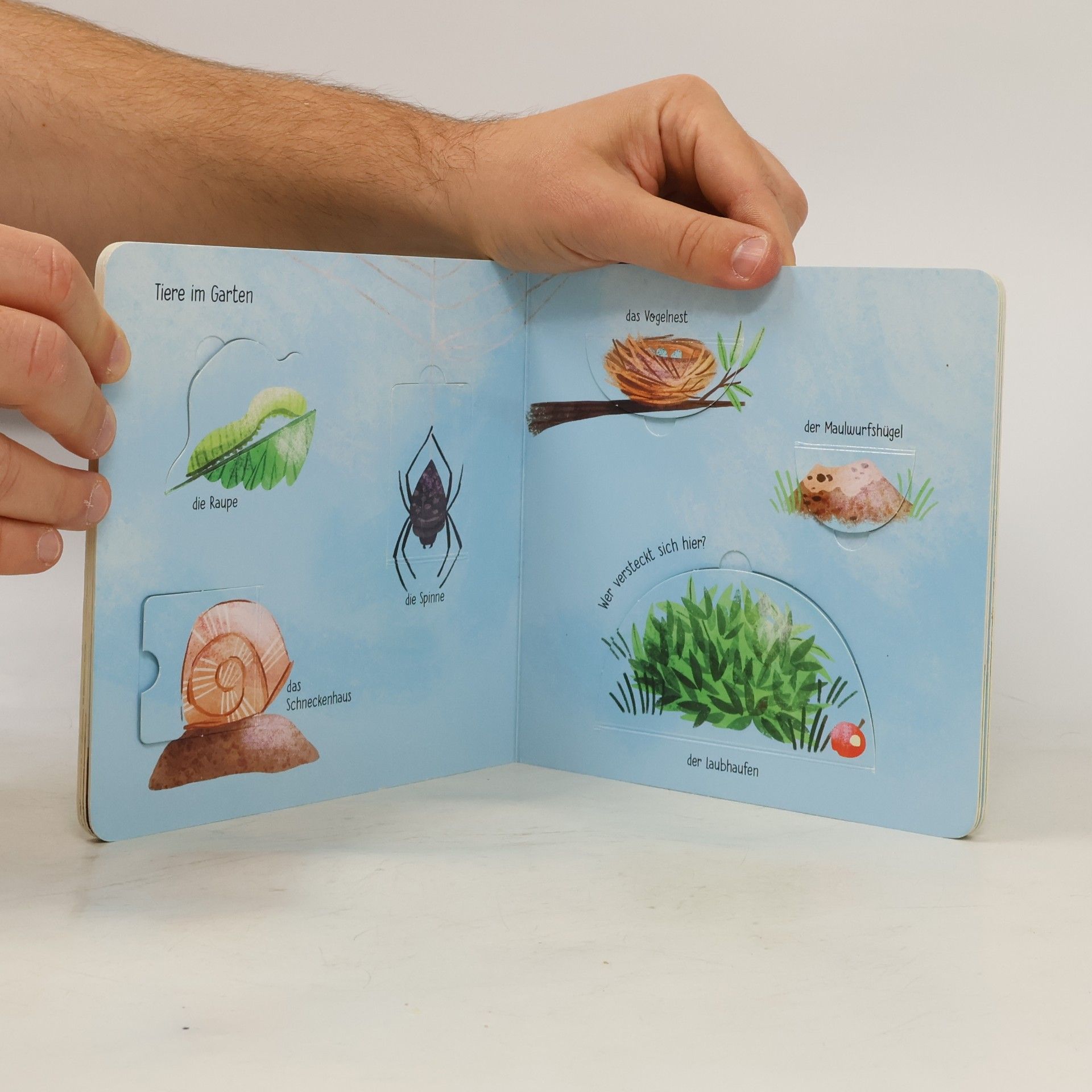 Pia Jüngert Mein kleines Buch vom Garten. mit vielen Klappen