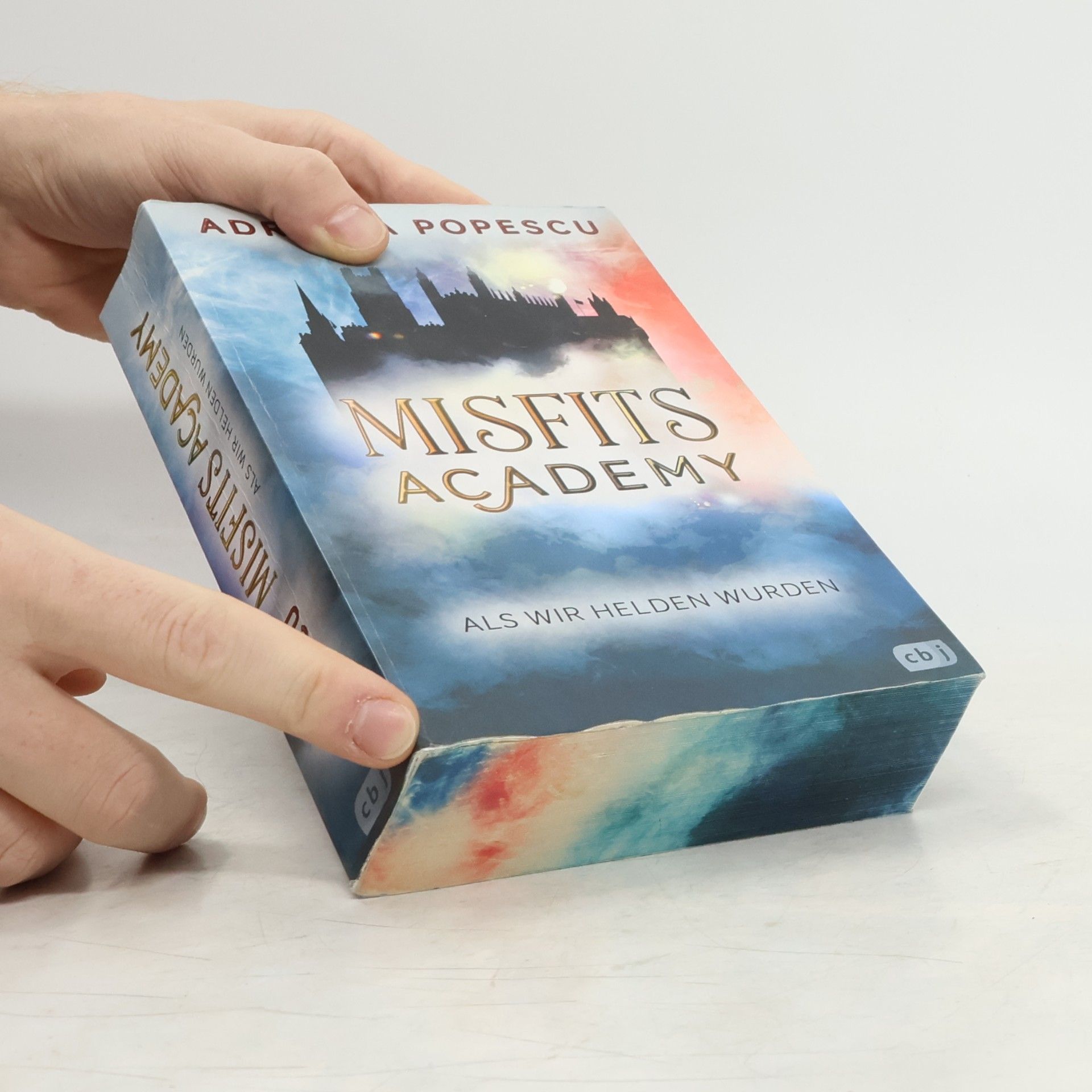 Adriana Popescu Misfits Academy - Als wir Helden wurden