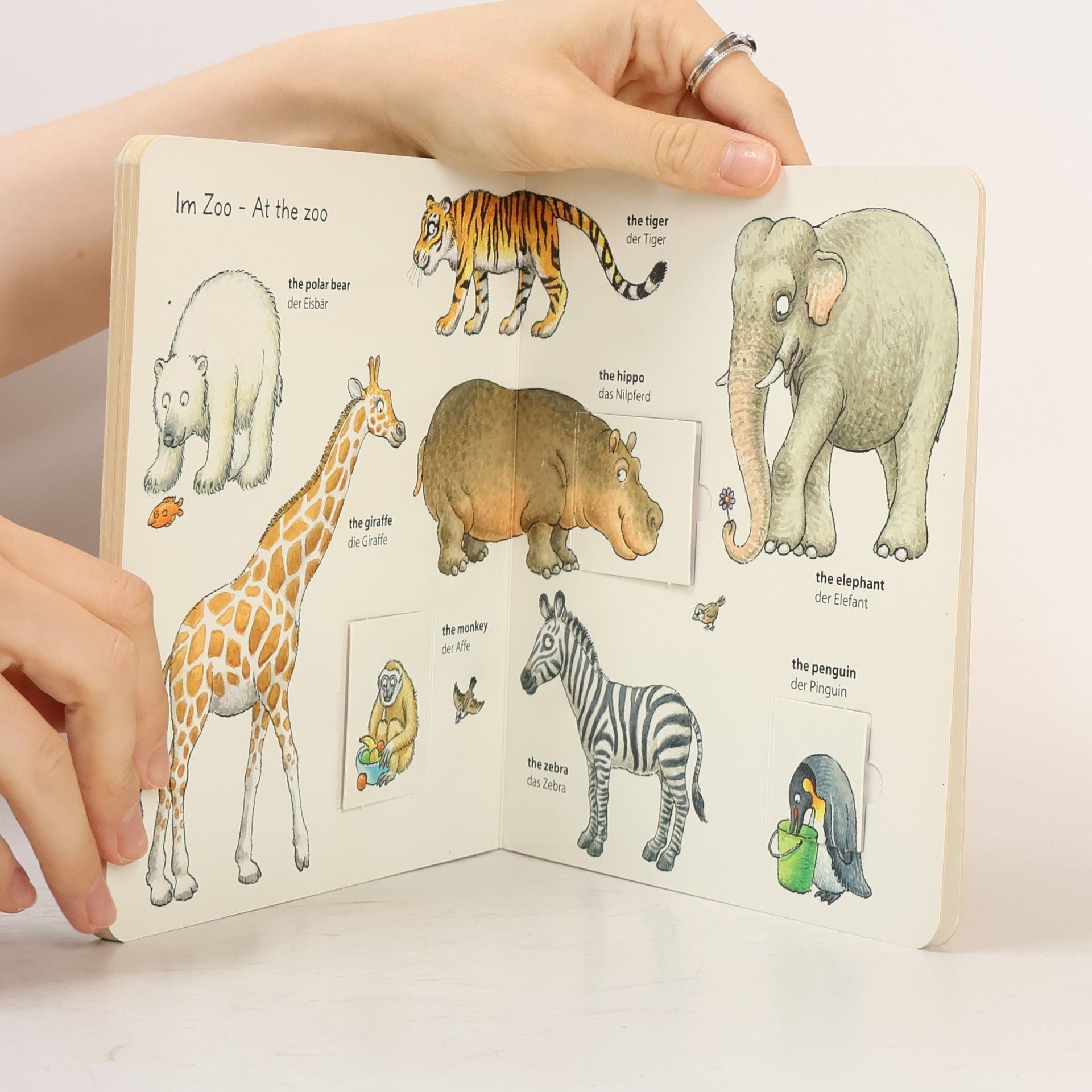Mirco Brüchler Animals