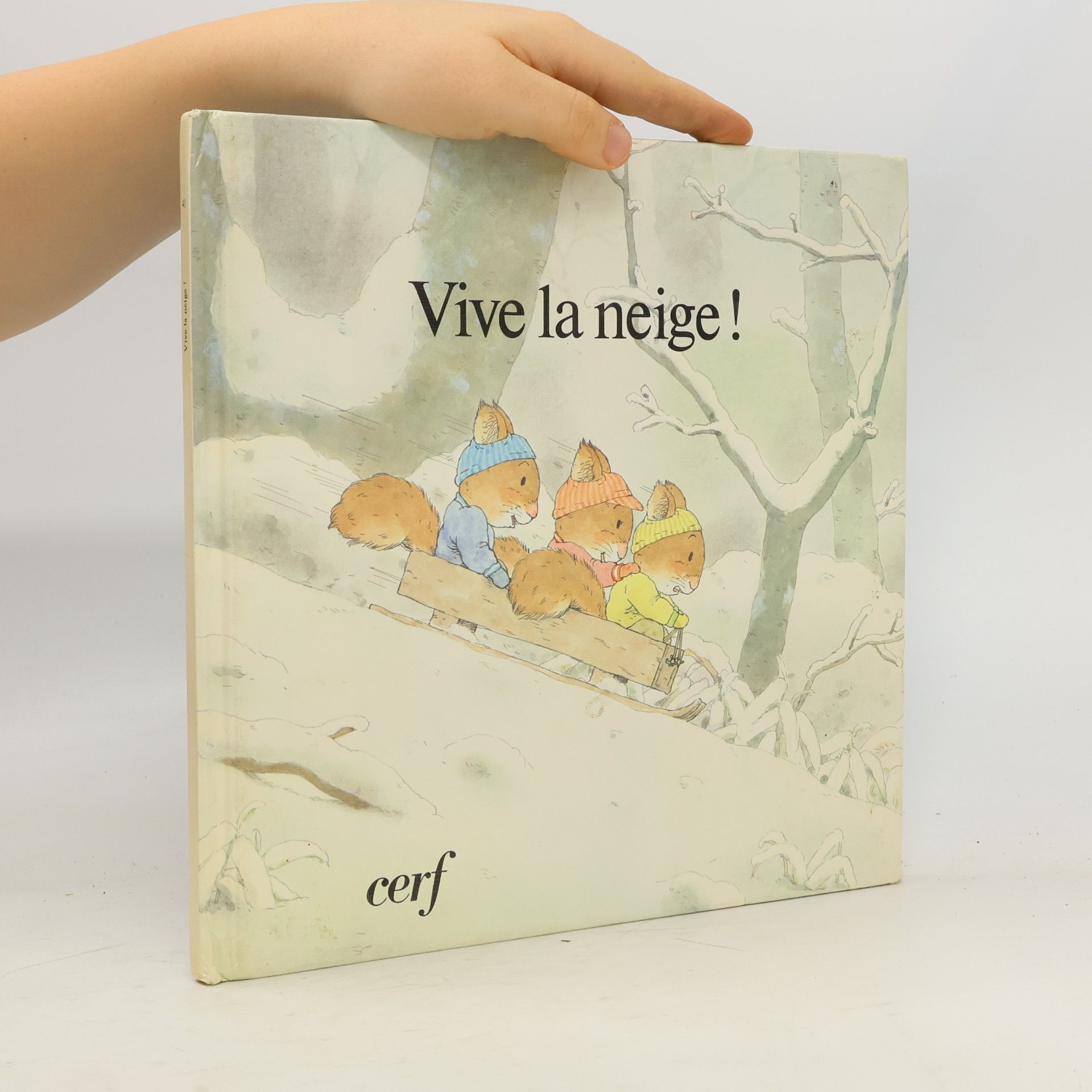 Vive la neige !