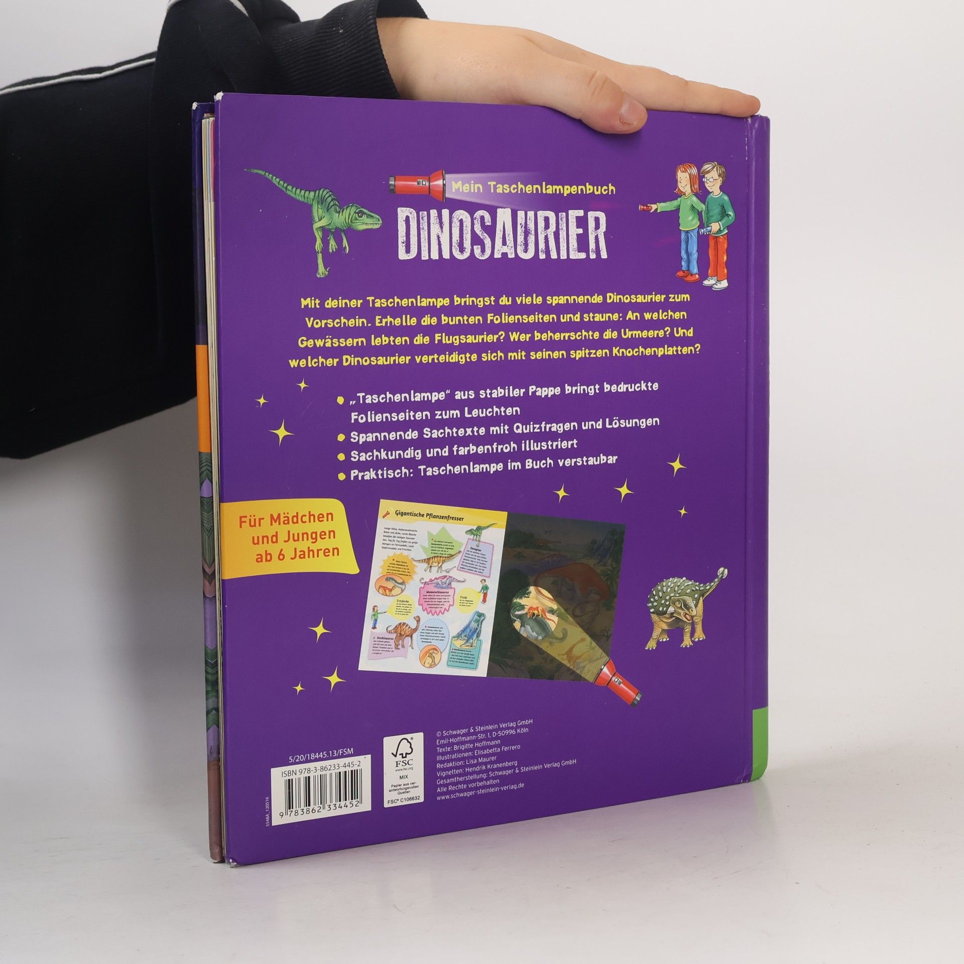 Various authors Mein Taschenlampenbuch