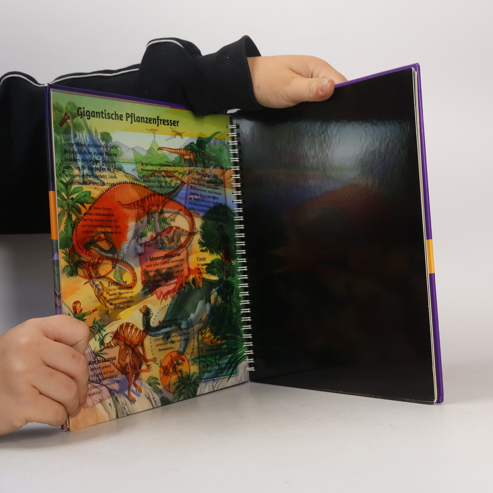 Various authors Mein Taschenlampenbuch
