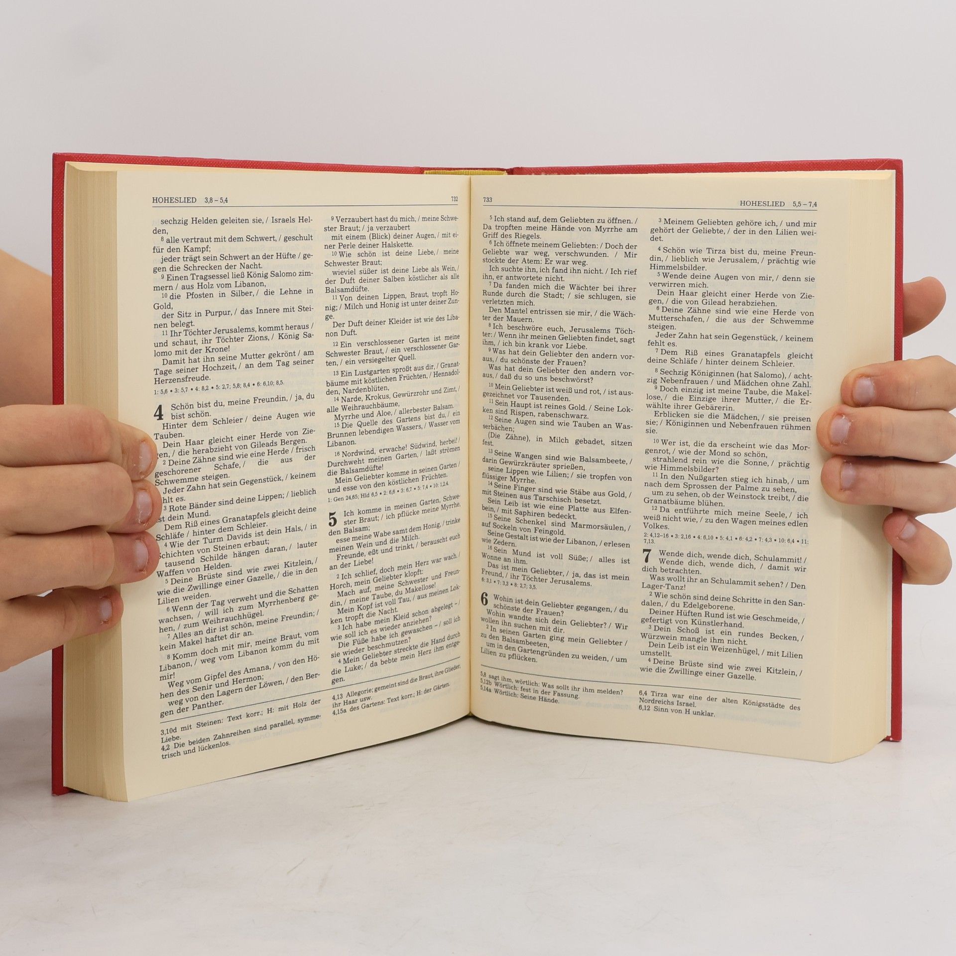 kolektiv Die Bibel