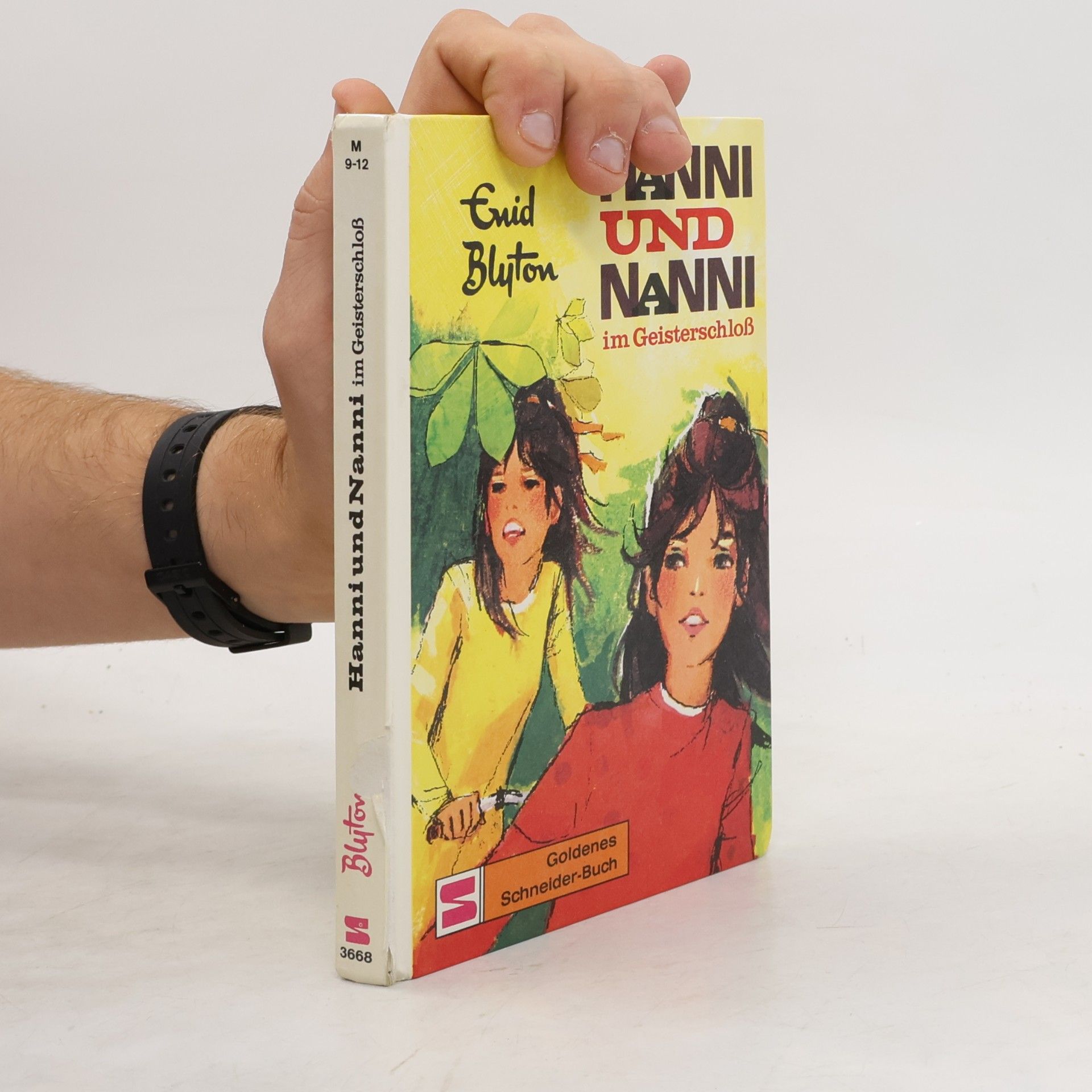 Enid Blyton Hanni und Nanni im Geisterschloß