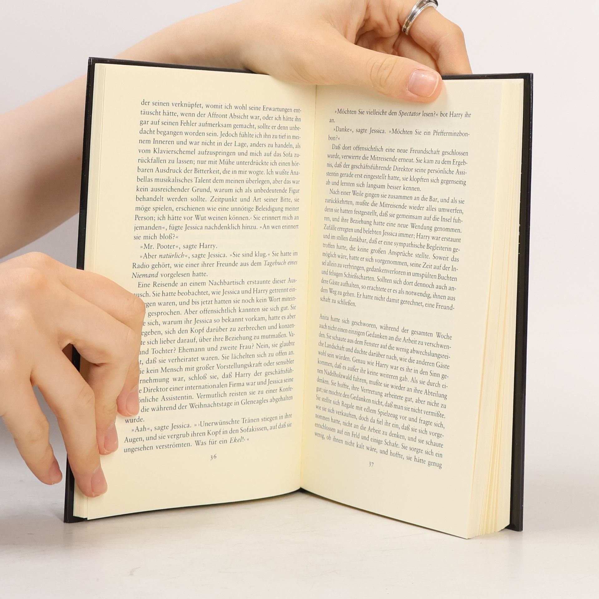 Alice Thomas Ellis Das Gasthaus am Ende der Welt