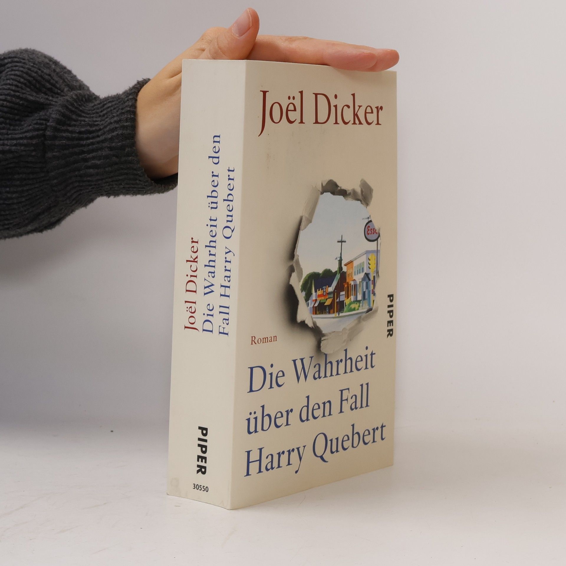 Die Wahrheit über den Fall Harry Quebert