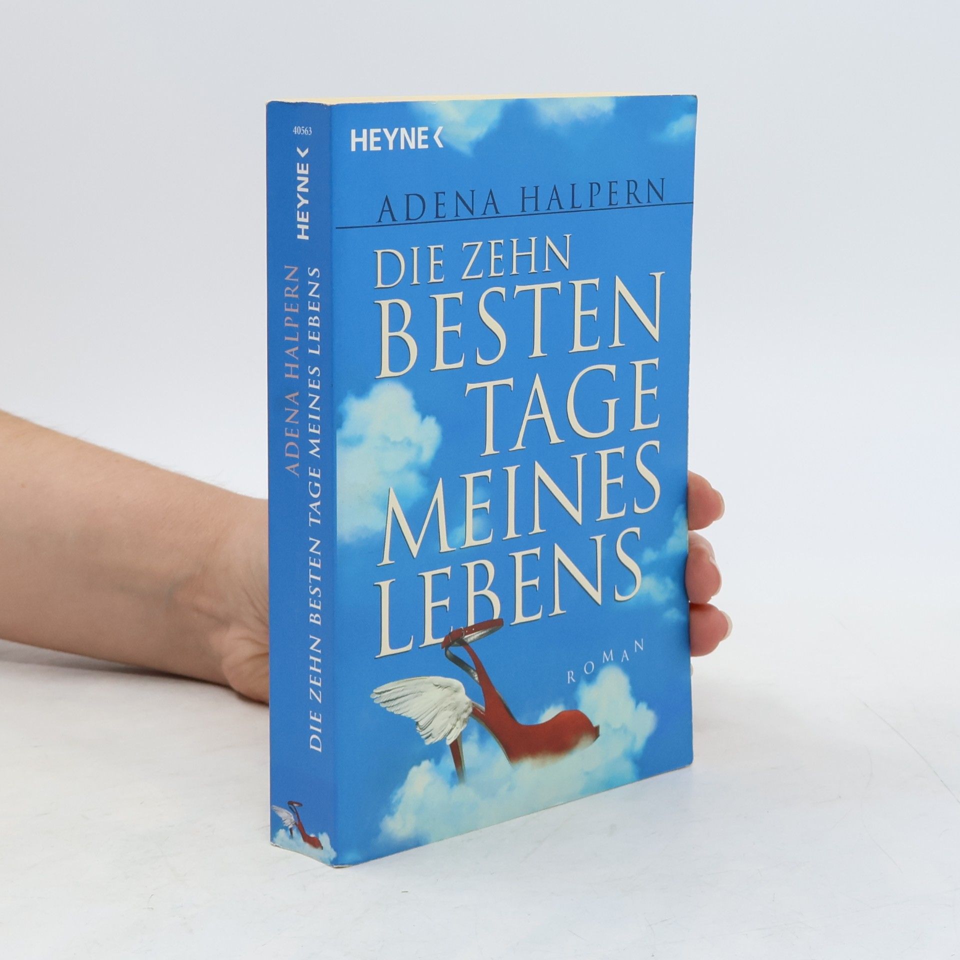 Adena Halpern Die zehn besten Tage meines Lebens