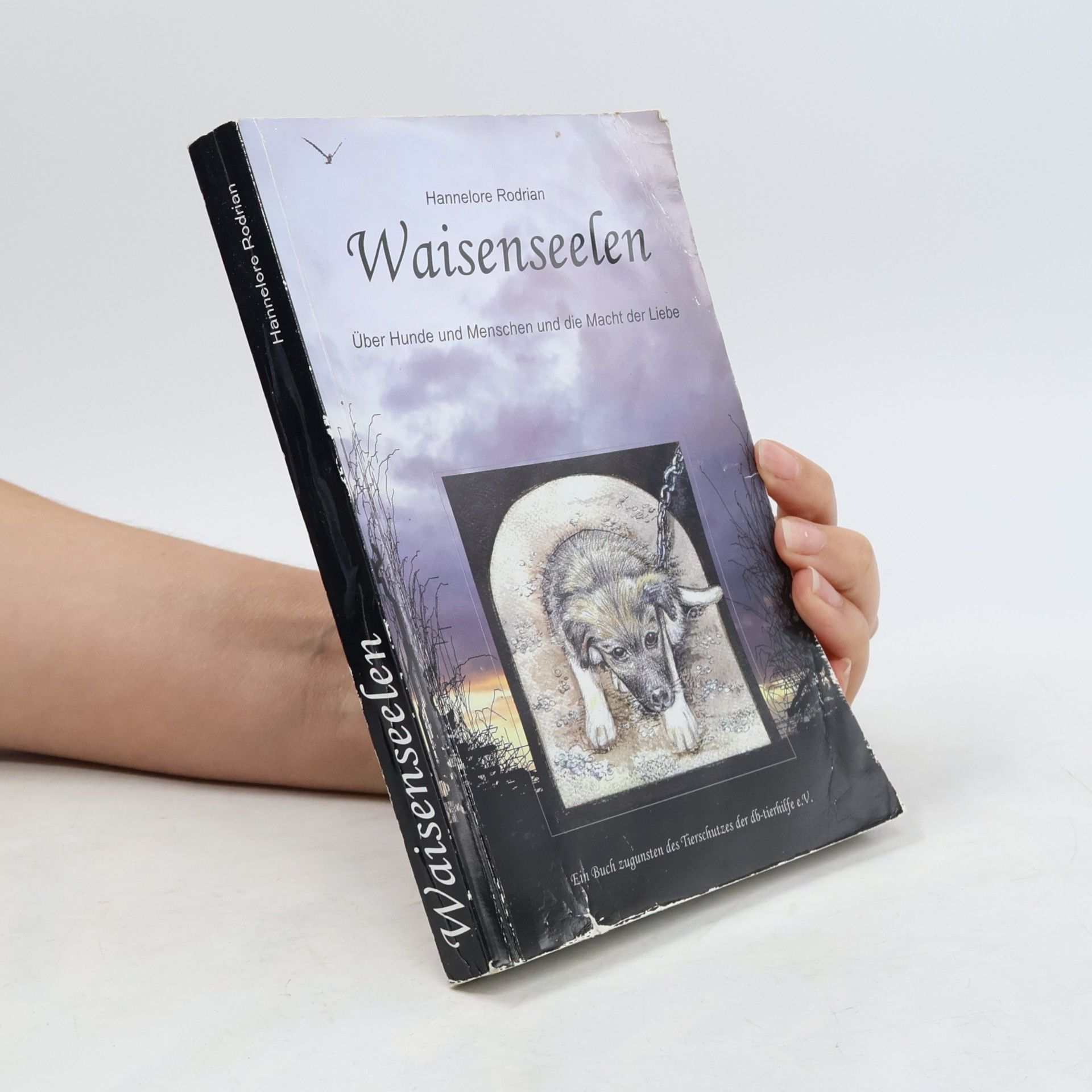 Hannelore Rodrian Waisenseelen. Über Hunde und Menschen und die Macht der Liebe.