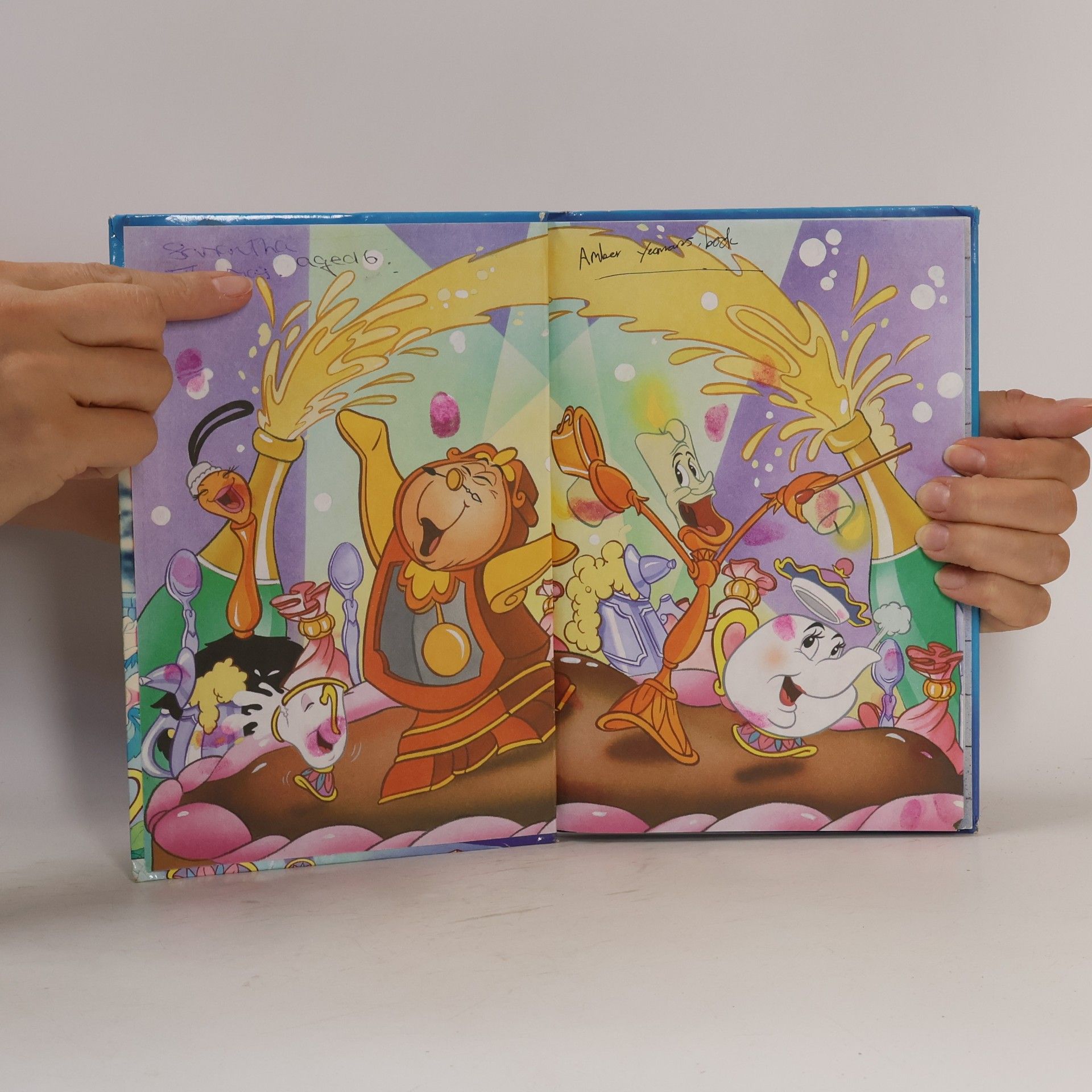 kolektiv Beauty and the Beast