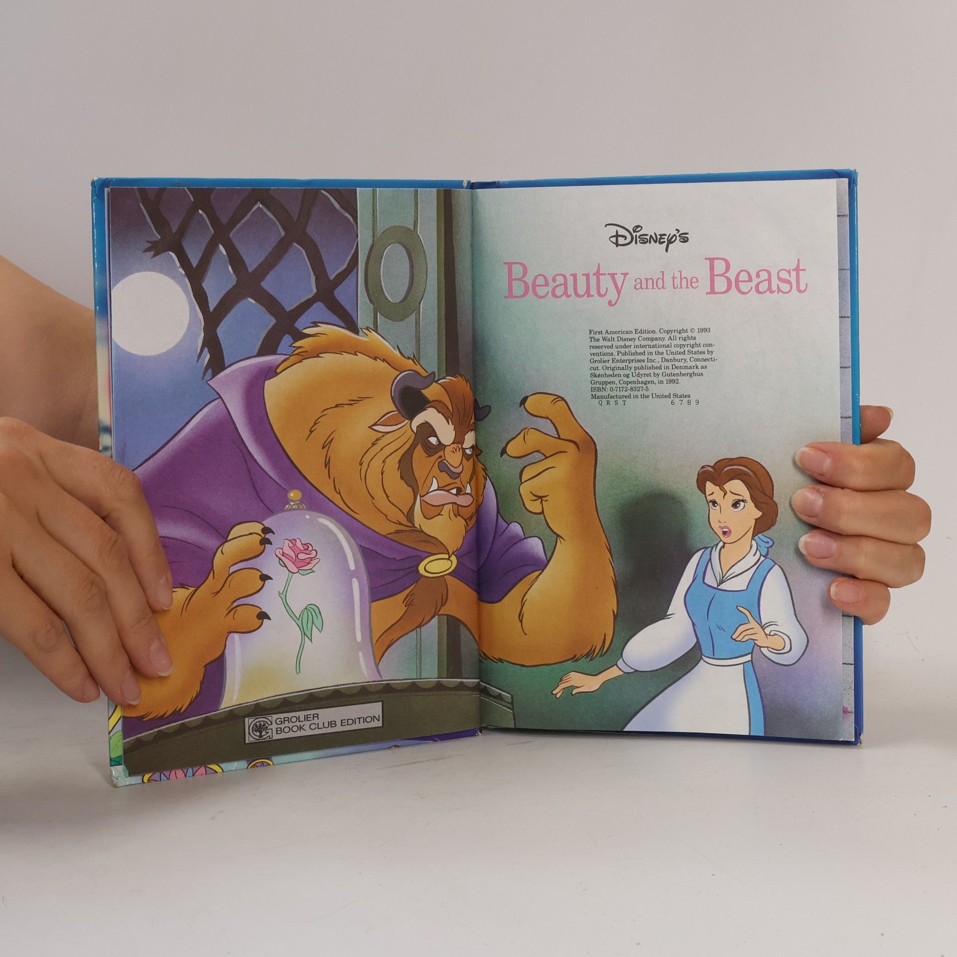 kolektiv Beauty and the Beast