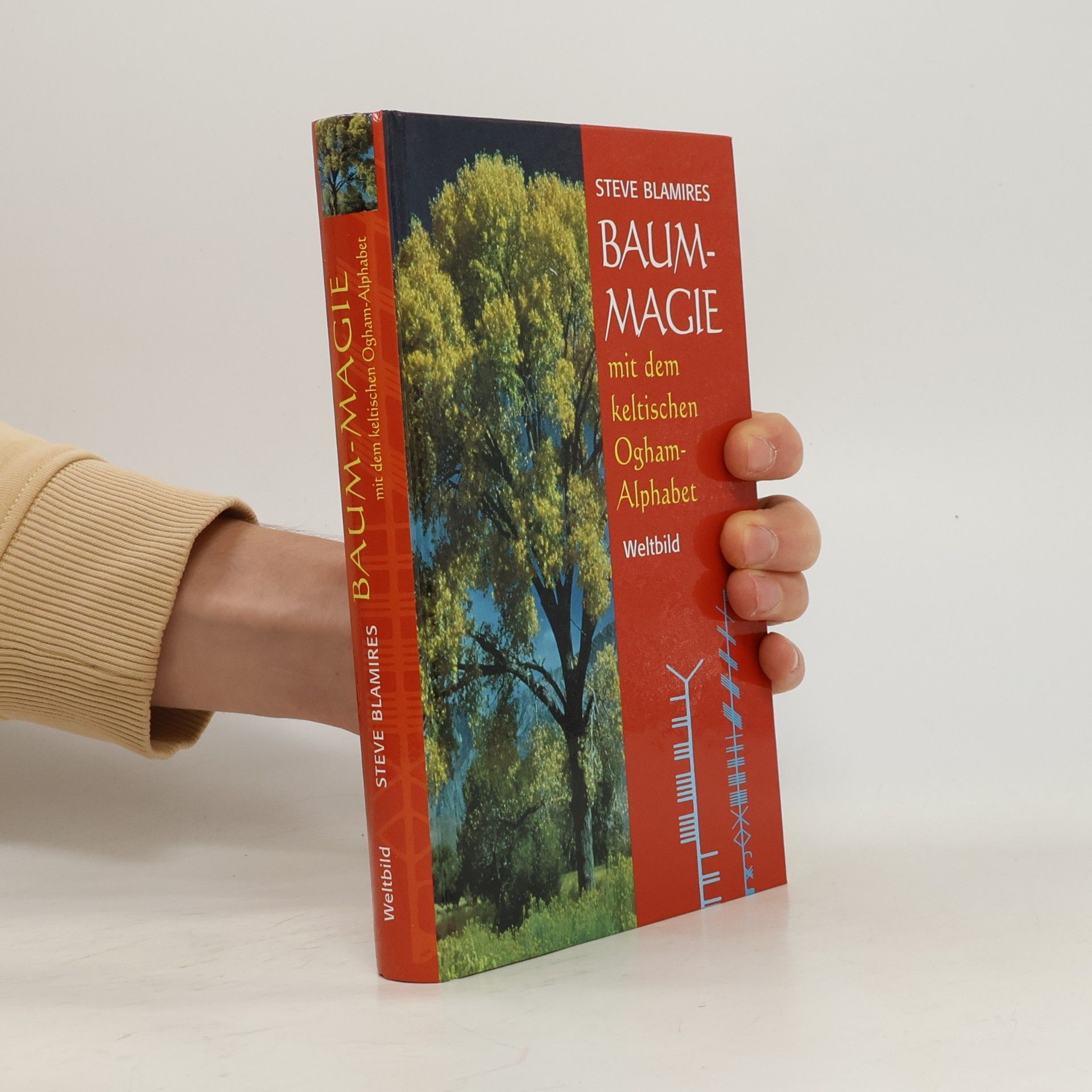 Steve Blamires Baum-Magie mit dem keltischen Ogham-Alphabet