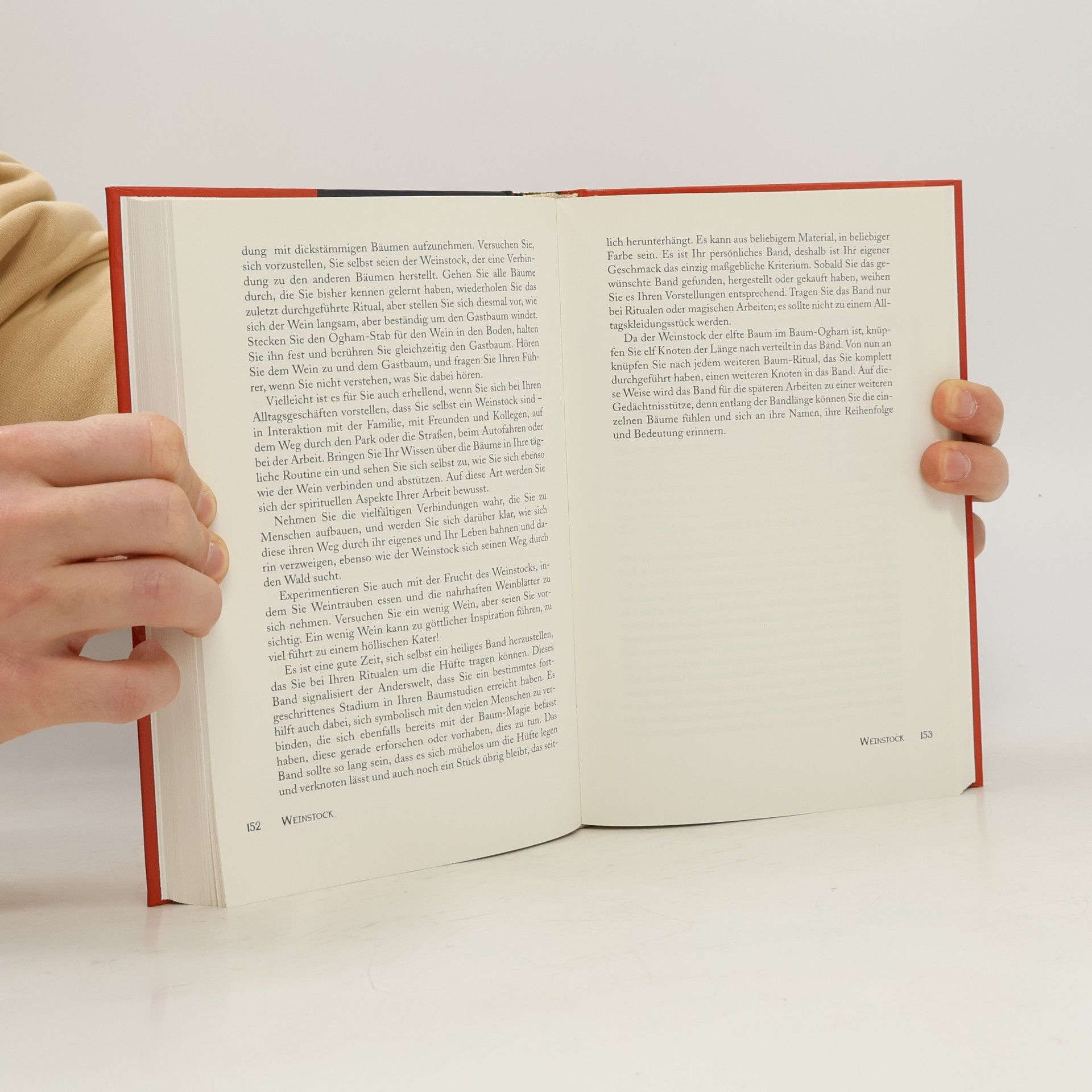 Steve Blamires Baum-Magie mit dem keltischen Ogham-Alphabet