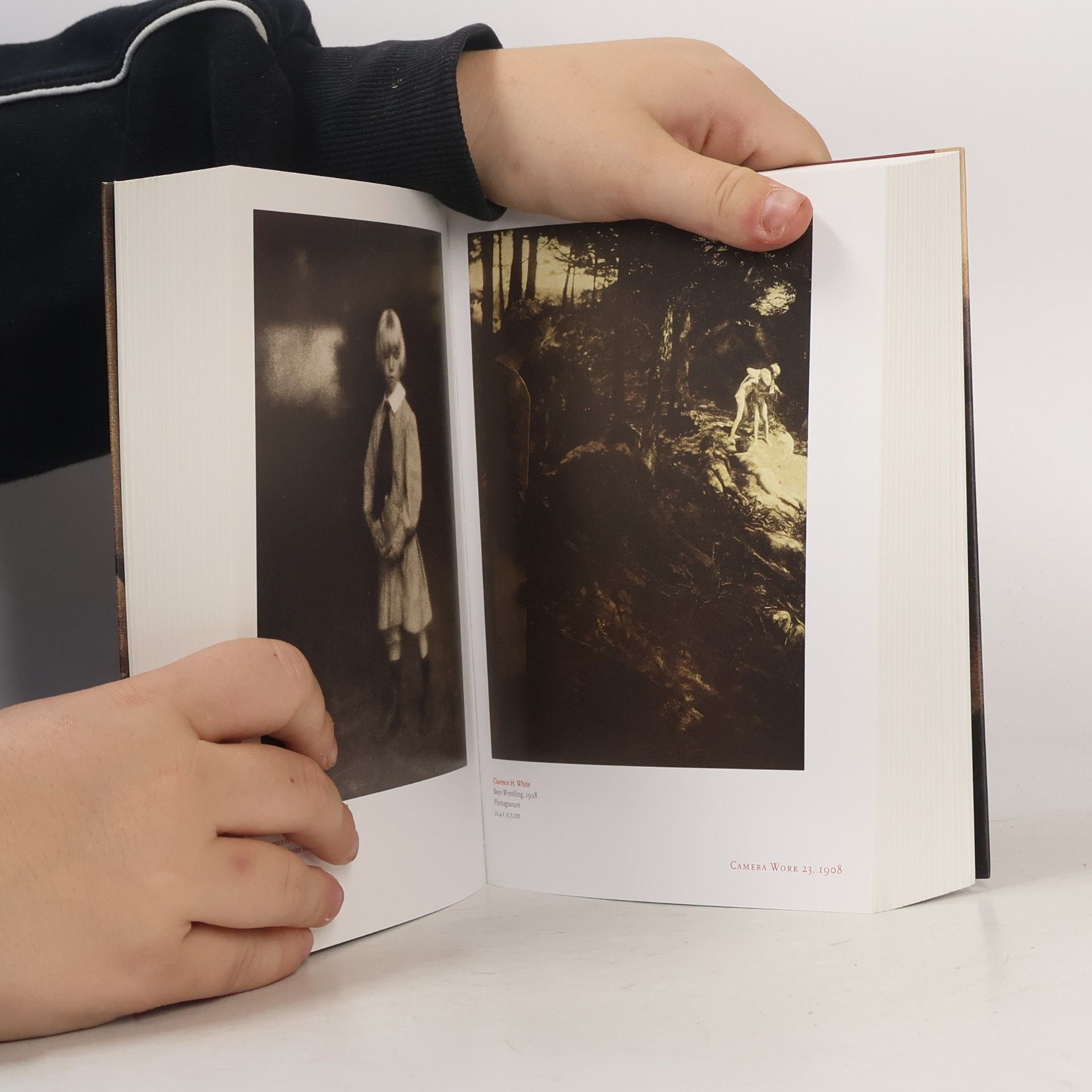 Alfred Stieglitz Camera work: The complete photographs 1903-1917