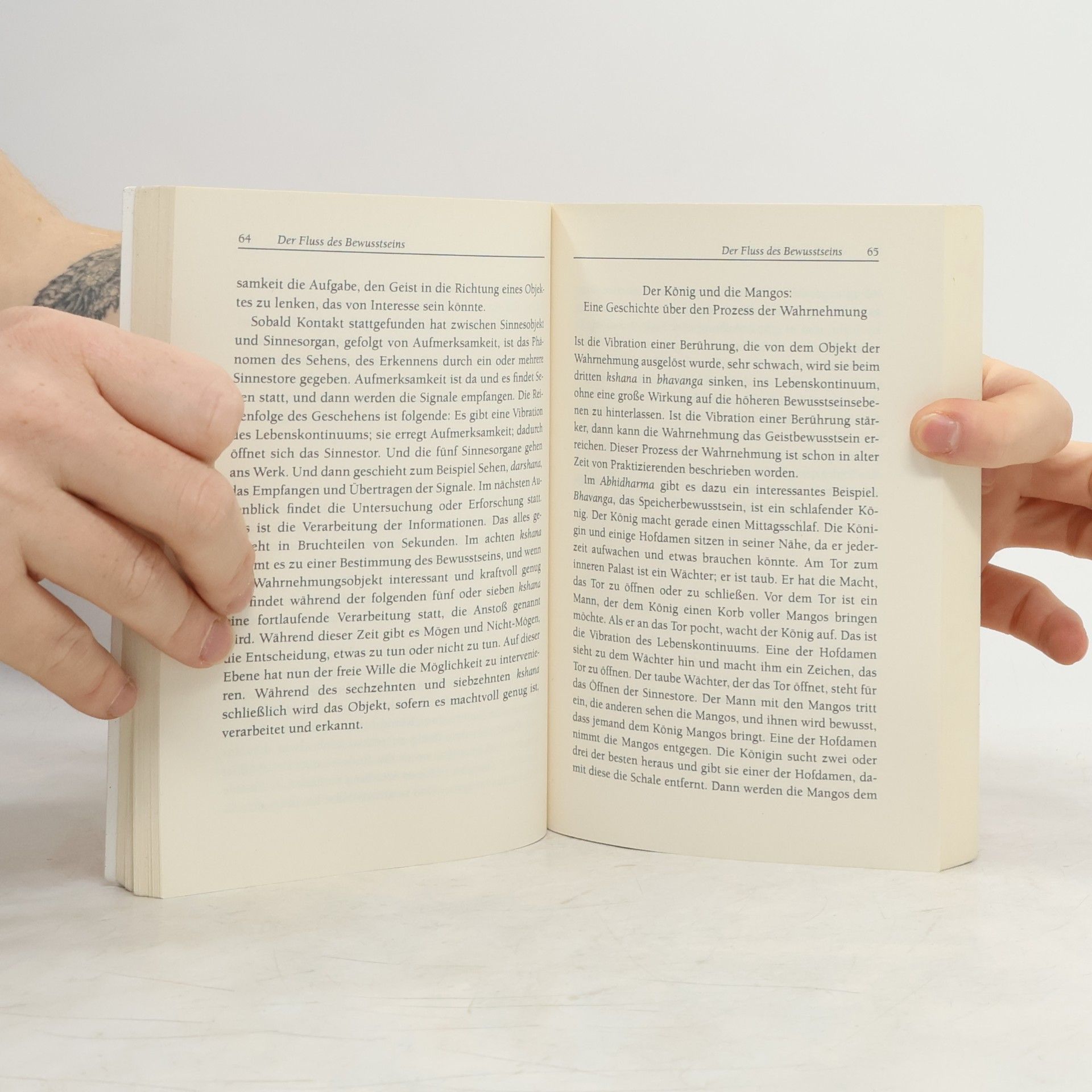 Hạnh Nhat Die Heilkraft buddhistischer Psychologie