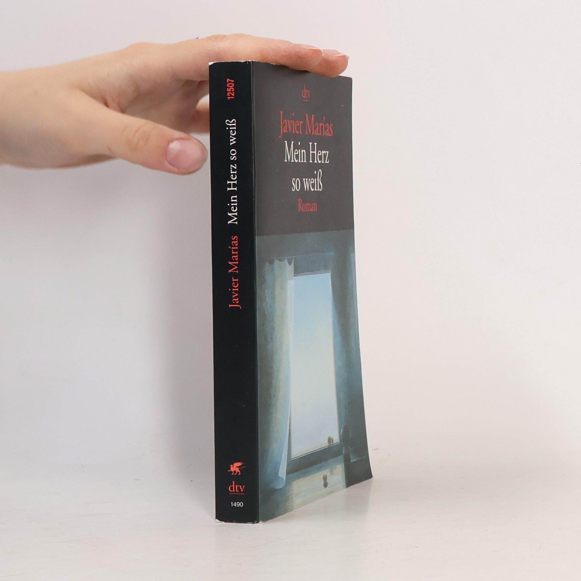 Javier Marías Mein Herz so weiss