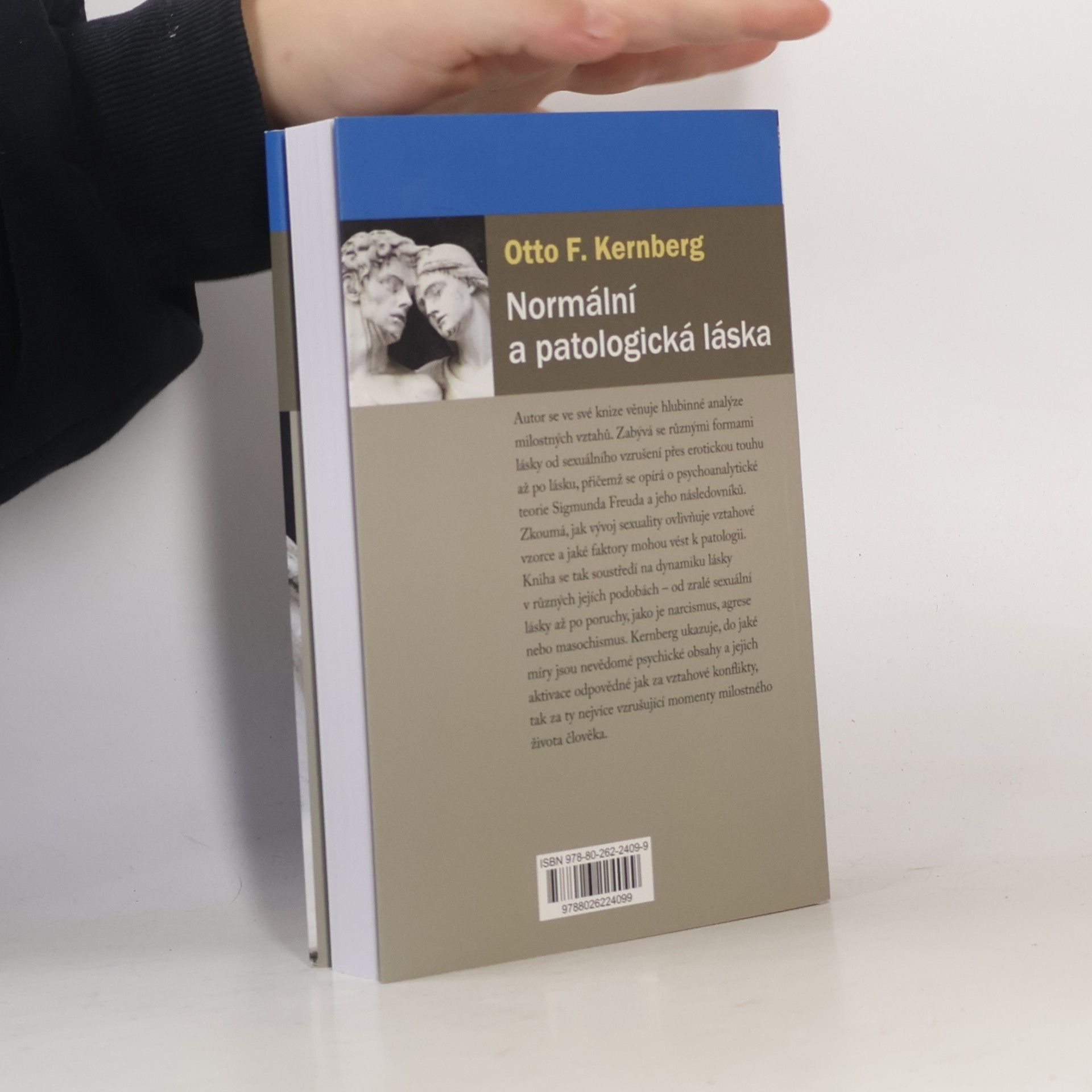 Otto F. Kernberg Normální a patologická láska (2026)
