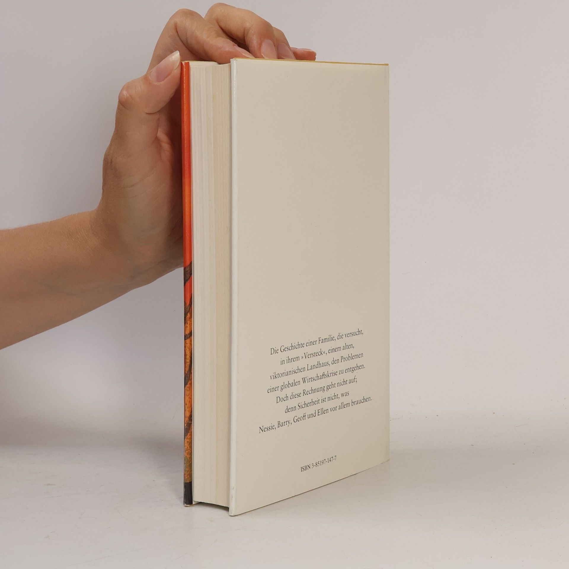 John Rowe Townsend Das Versteck