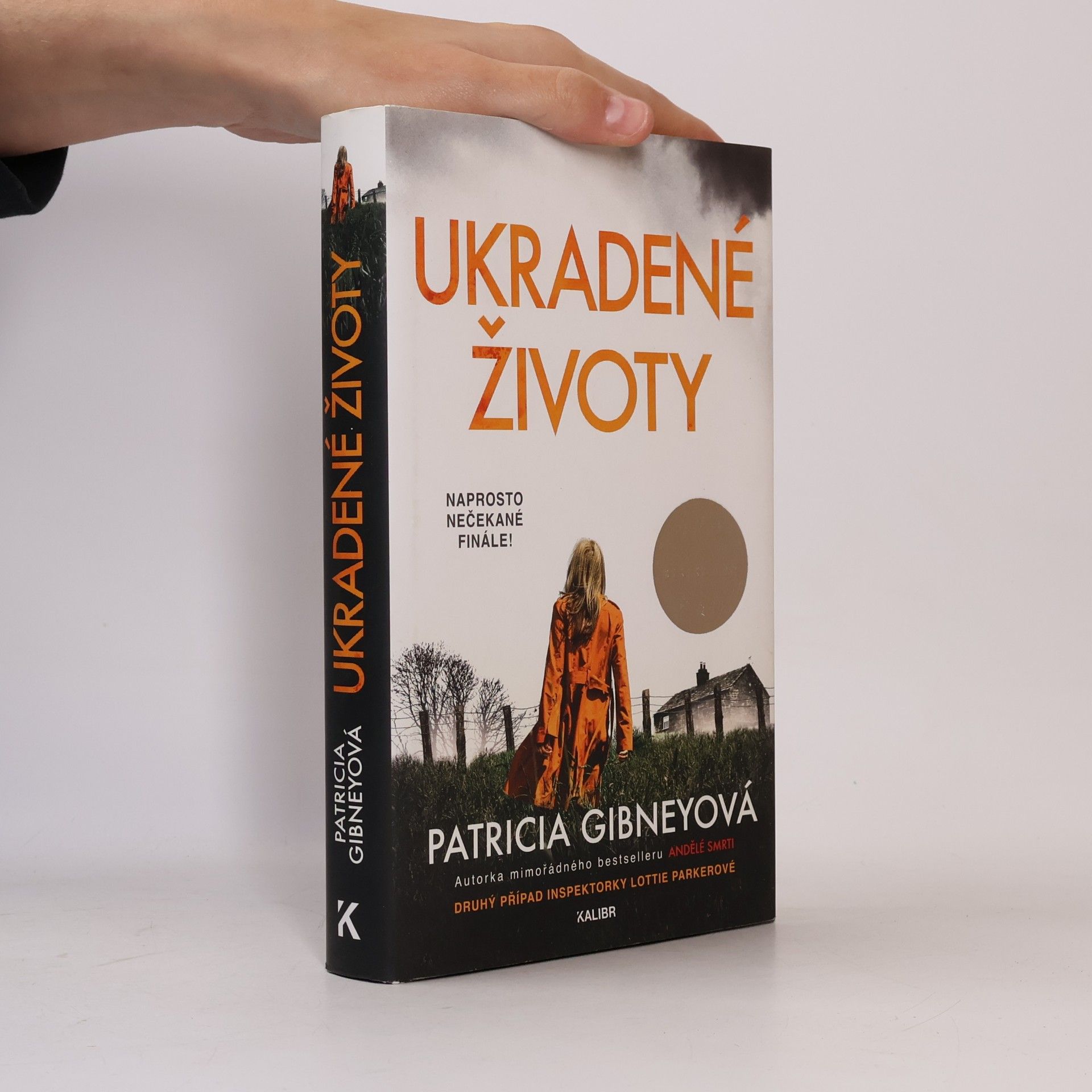 Patricia Gibney Ukradené životy