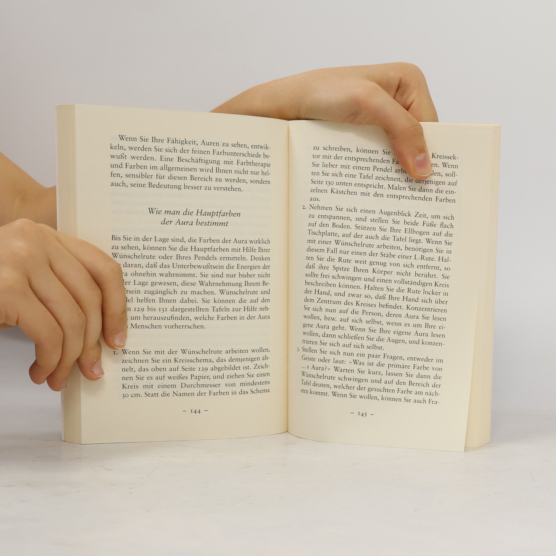Ted Andrews Die Aura sehen und lesen