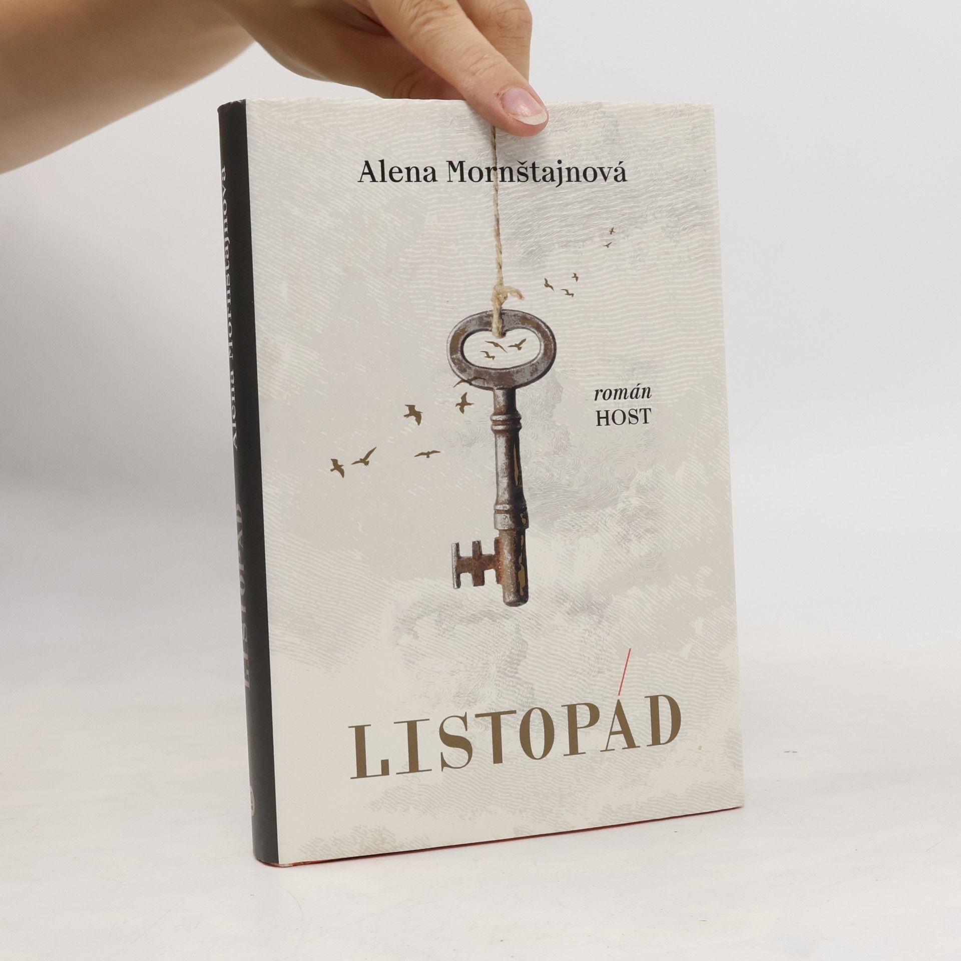 Alena Mornštajnová Listopád