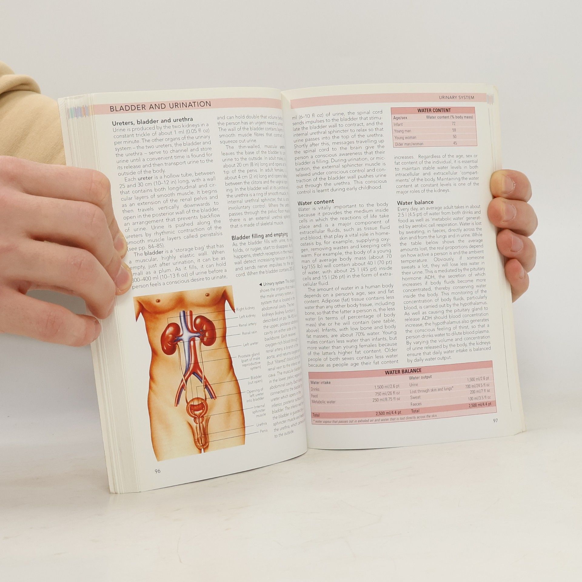 Richard Walker Guide to the Human Body