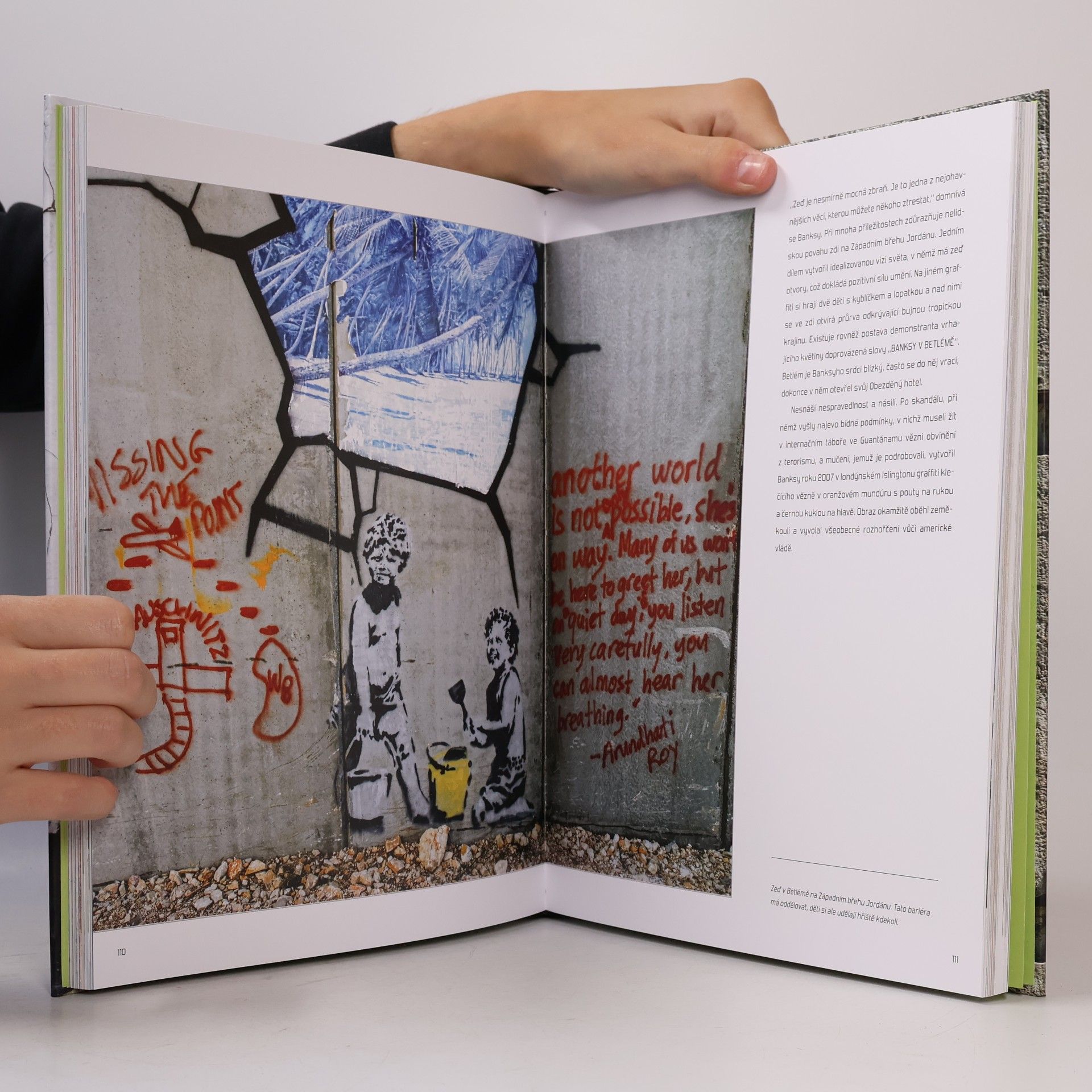 Alessandra Mattanza Banksy