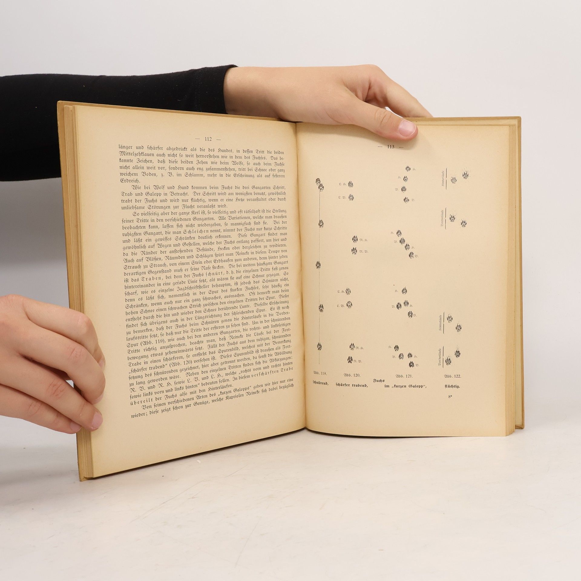 Eugen Teuwsen Fährten und Spuren