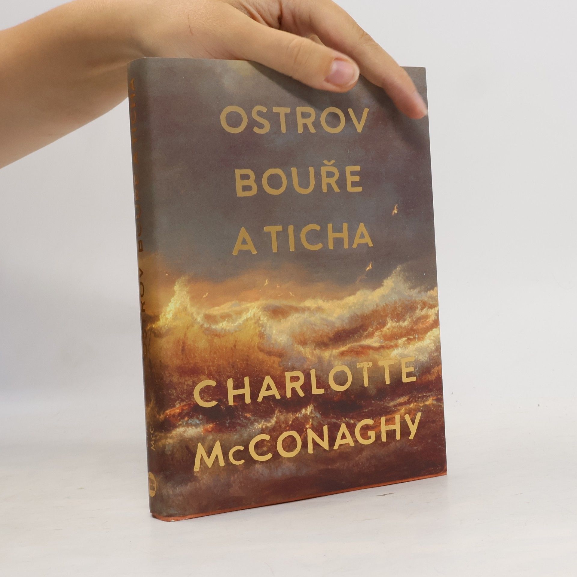 CHARLOTTE. MCCONAGHY Ostrov bouře a ticha