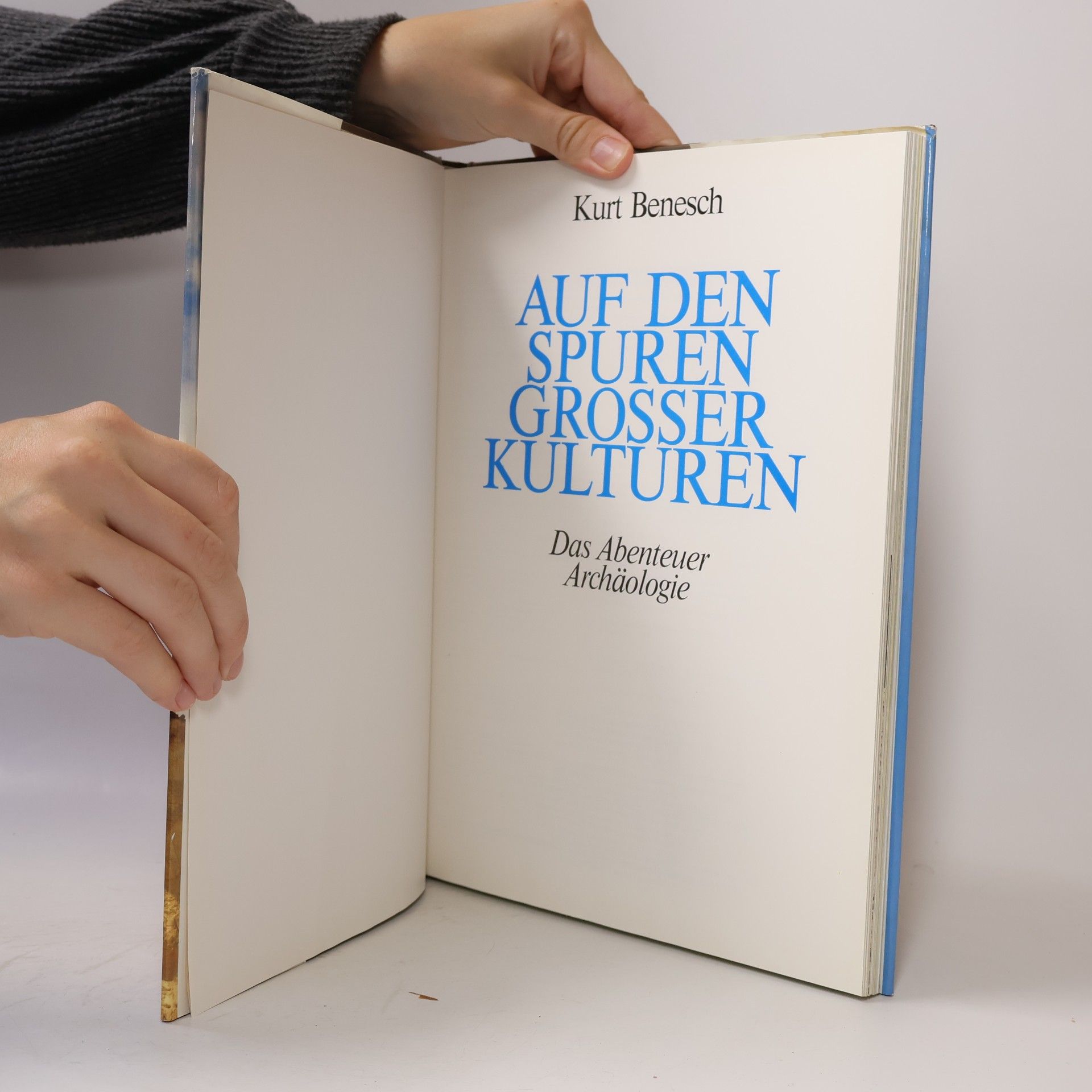 Kurt Benesch Auf den Spuren großer Kulturen. Das Abenteuer Archäologie