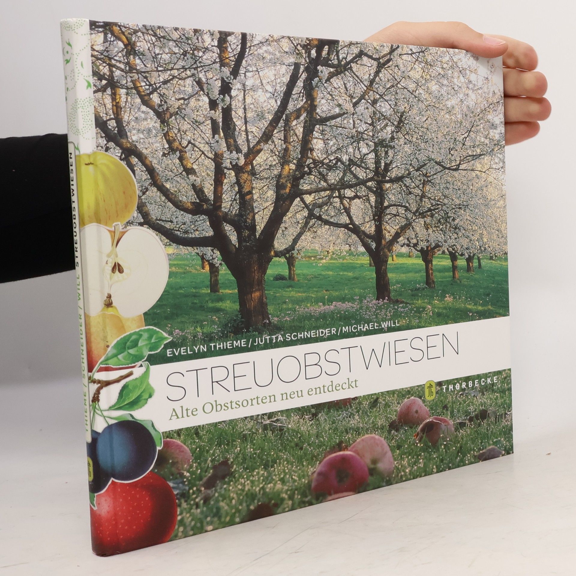 Evelyn Thieme-Kienhöfer Streuobstwiesen