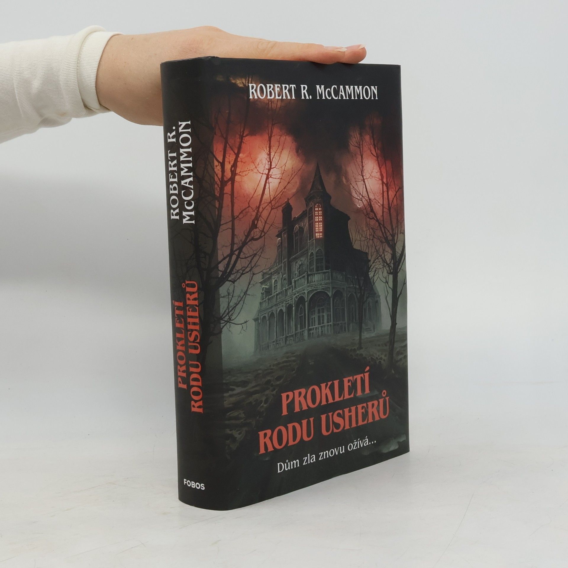 Robert McCammon Prokletí rodu Usherů