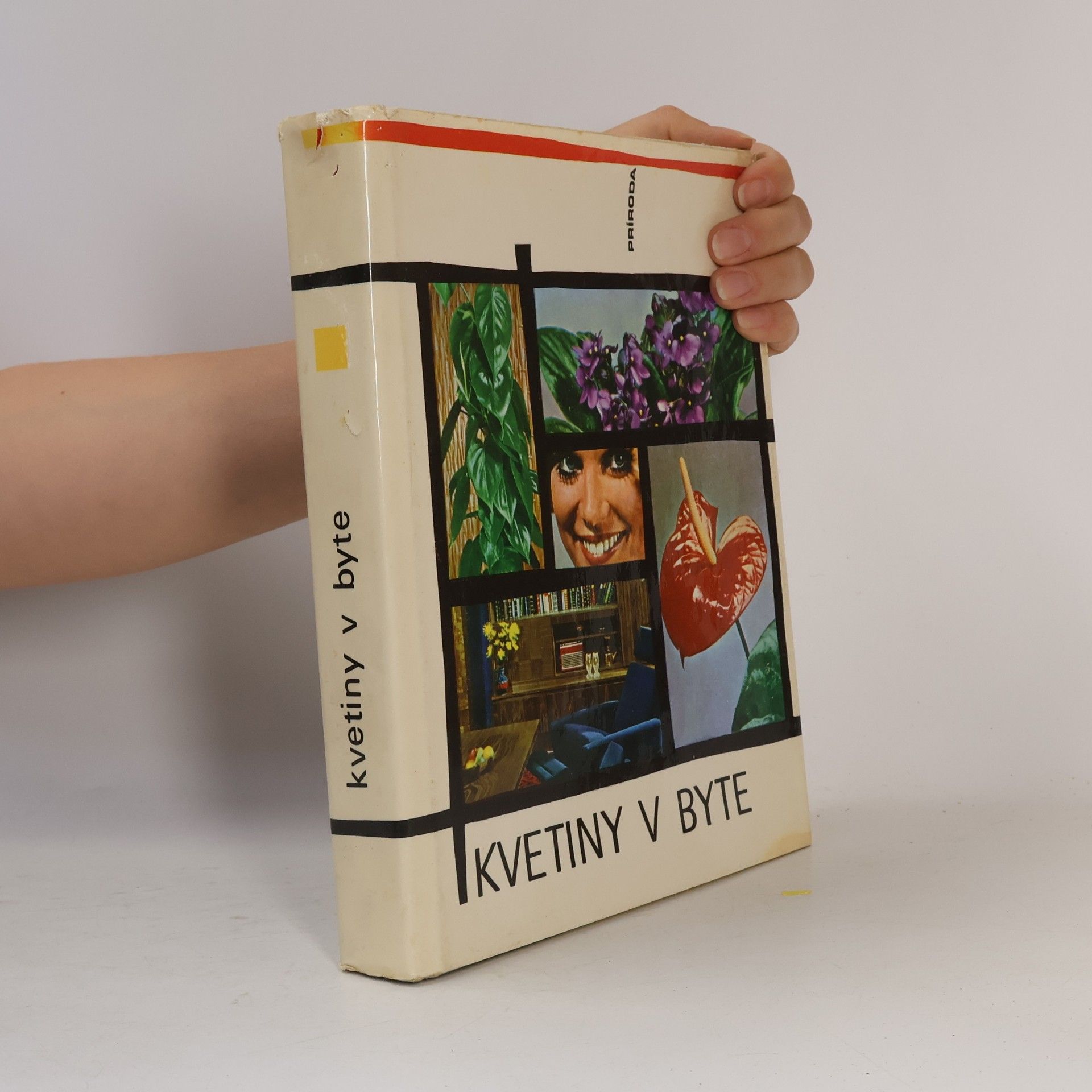 Jaroslav Machovec Kvetiny v byte