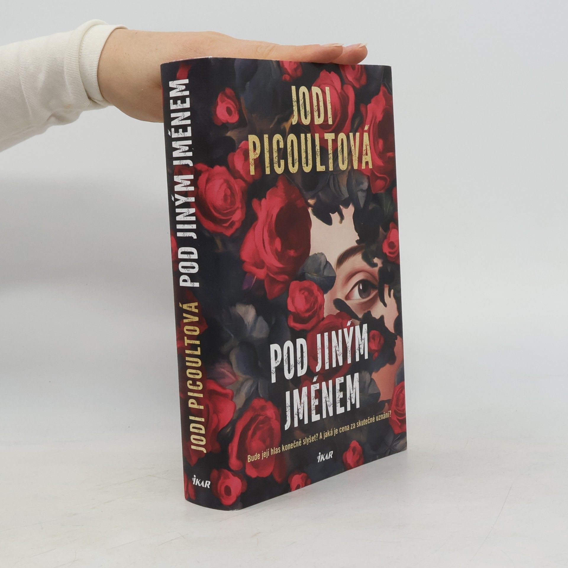 Jodi Picoult Pod jiným jménem