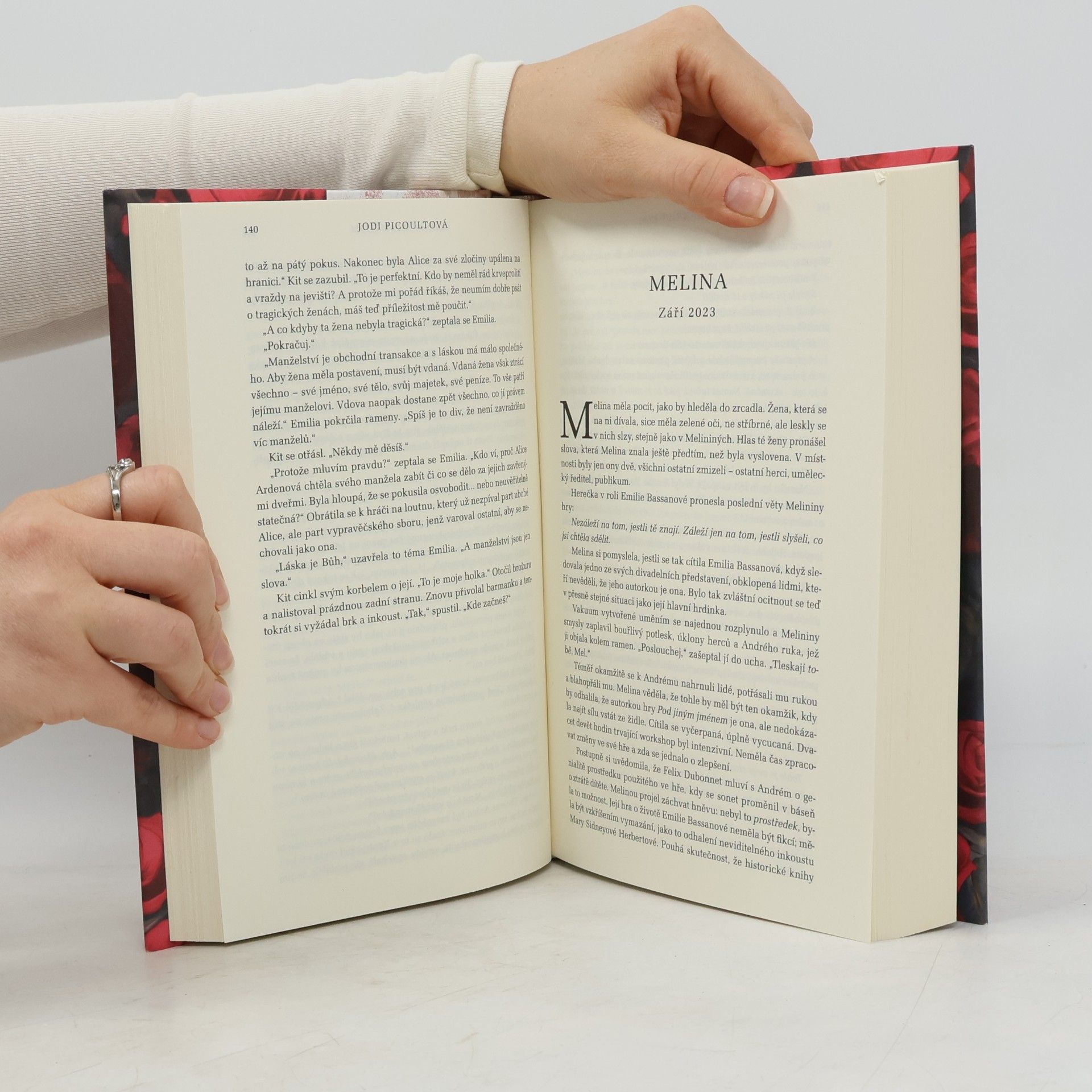 Jodi Picoult Pod jiným jménem