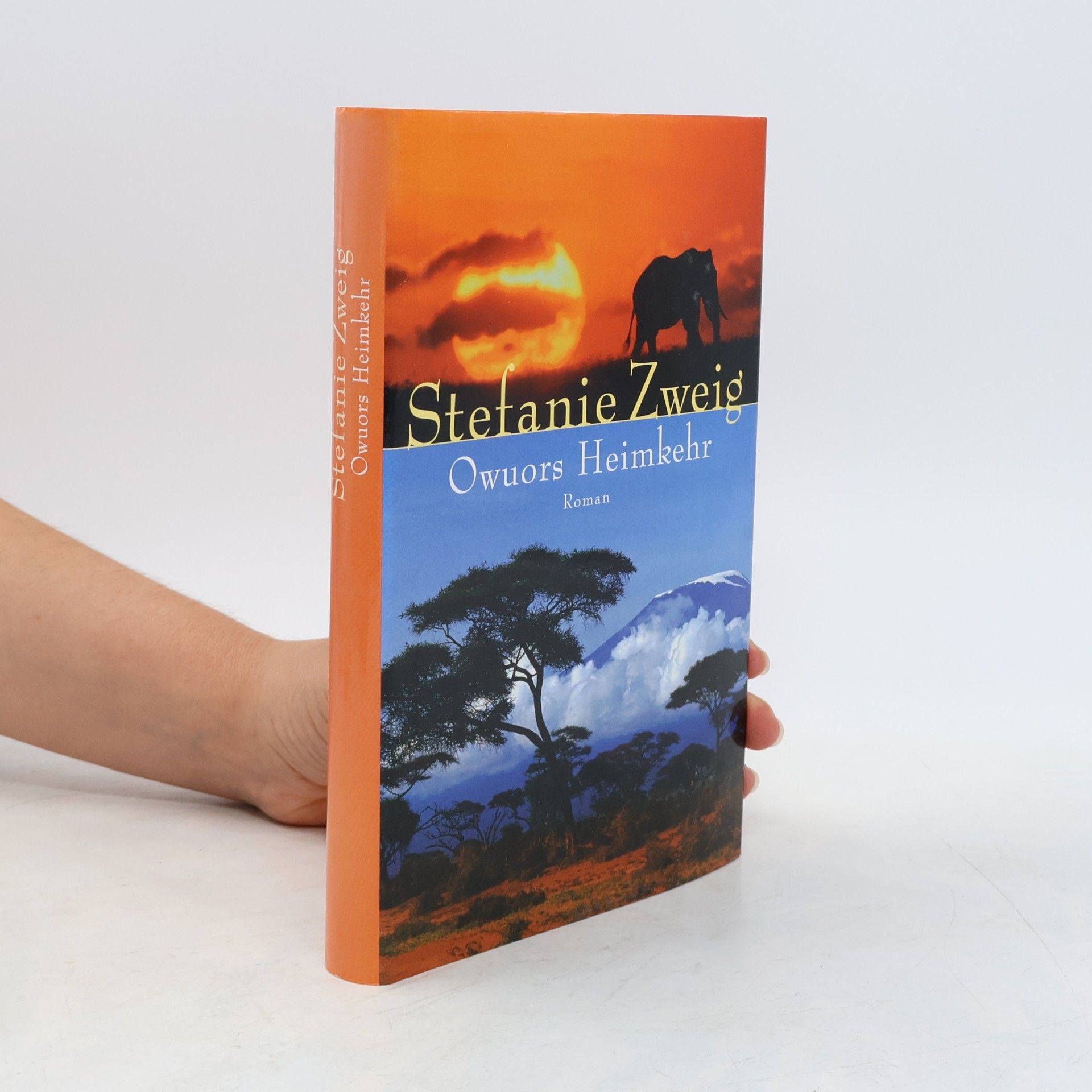 Stefanie Zweig Owuors Heimkehr