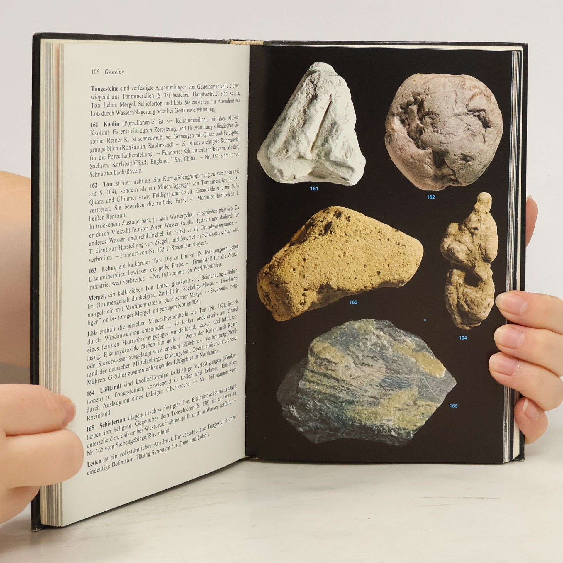 Walter Schumann Steine + [und] Mineralien