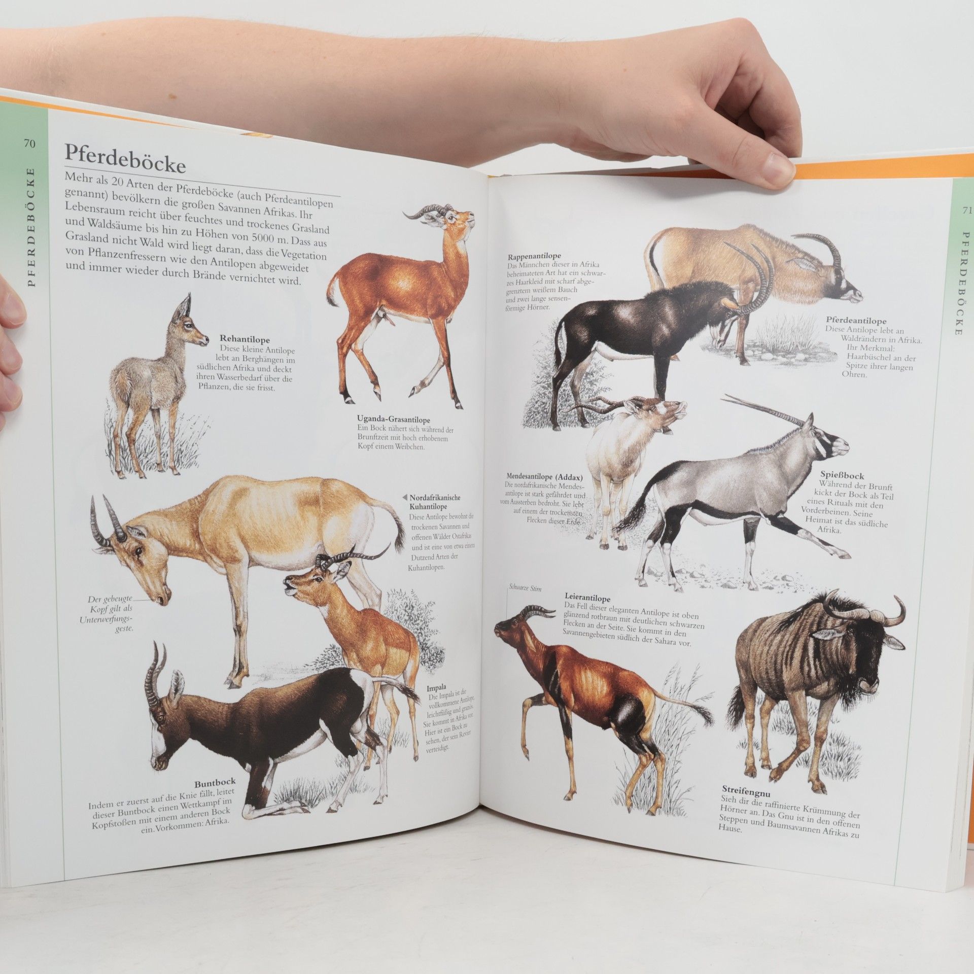 Der große Kosmos Tieratlas