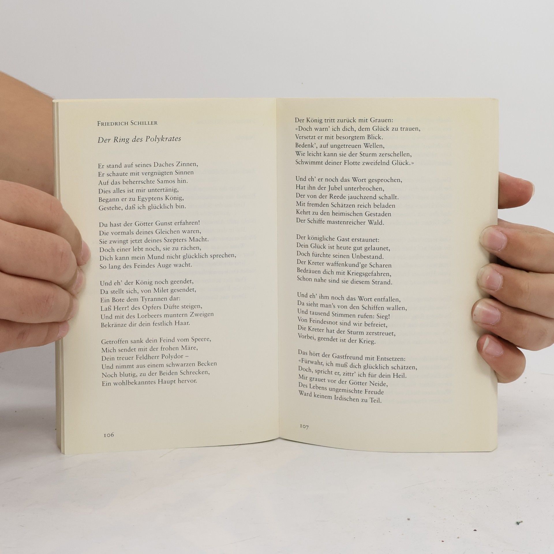 Dirk Ippen Des Sommers letzte Rosen