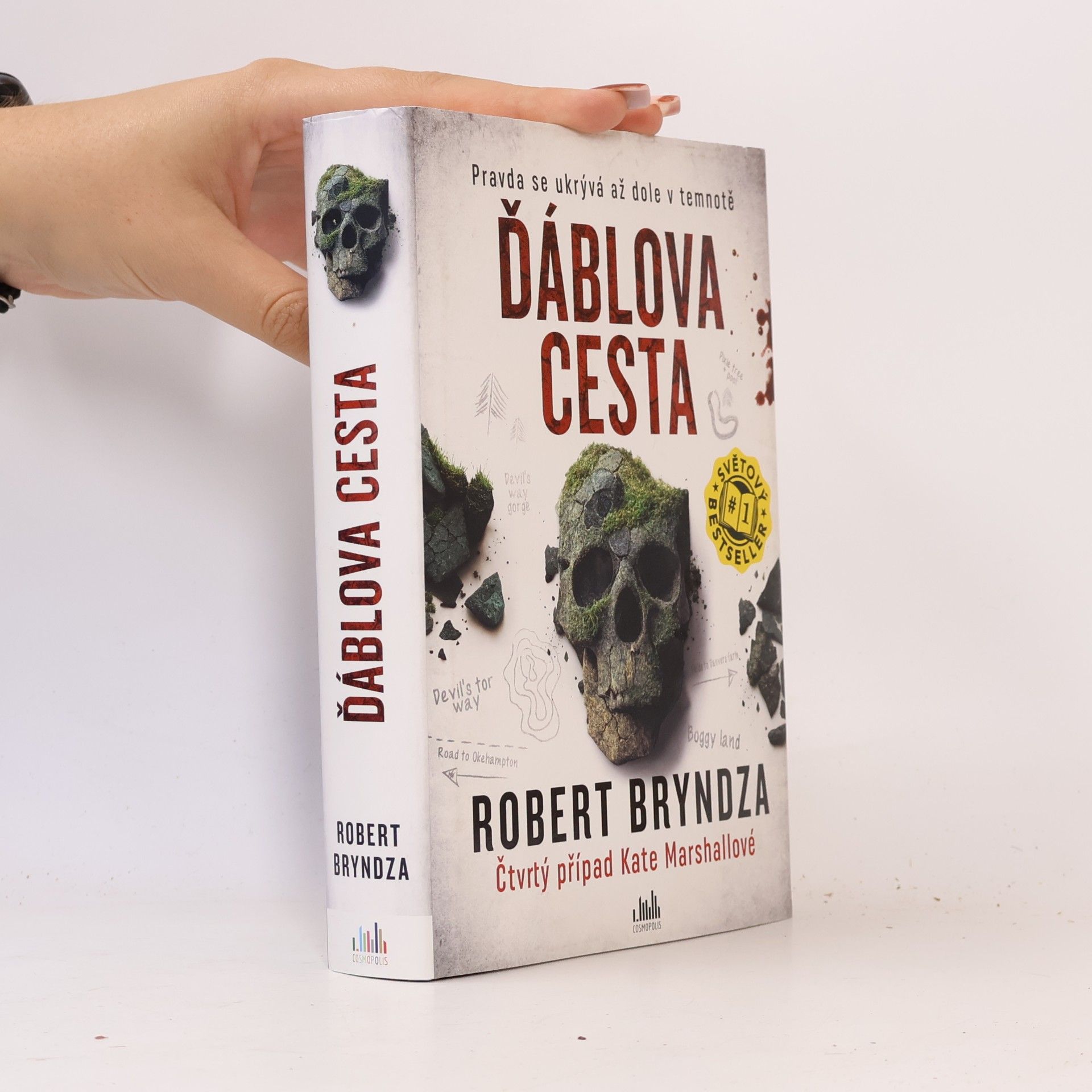 Robert Bryndza Ďáblova cesta