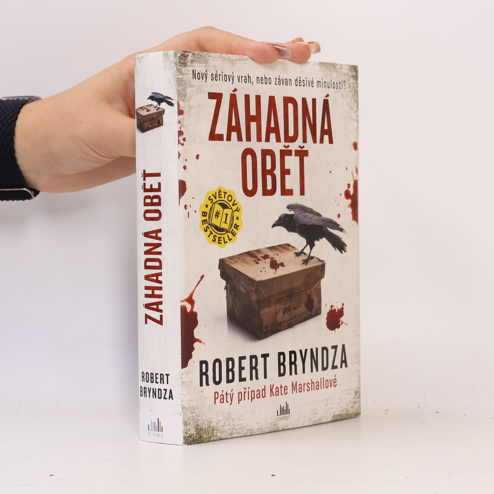 Robert Bryndza Záhadná oběť