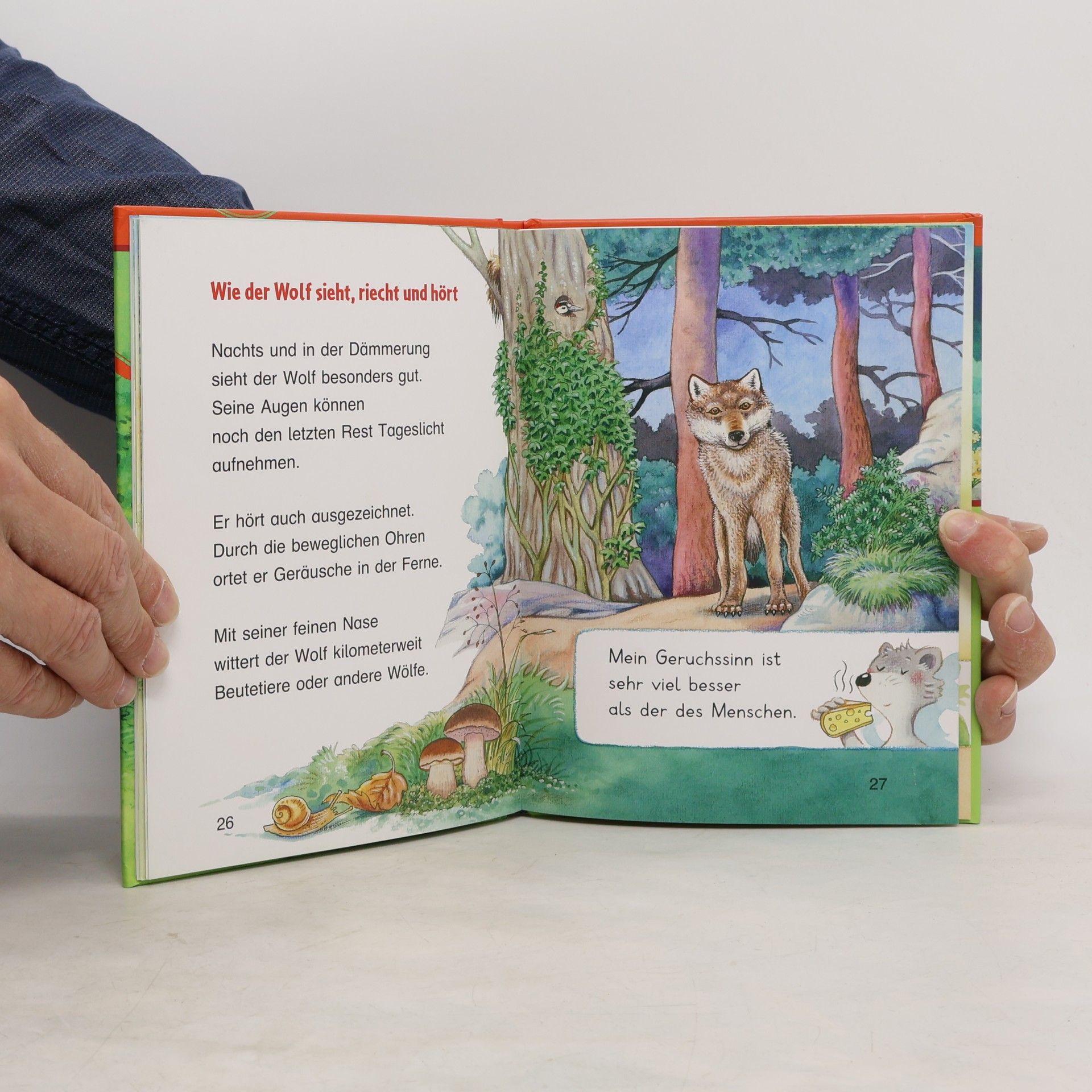 Friederun Reichenstetter Der Wolf