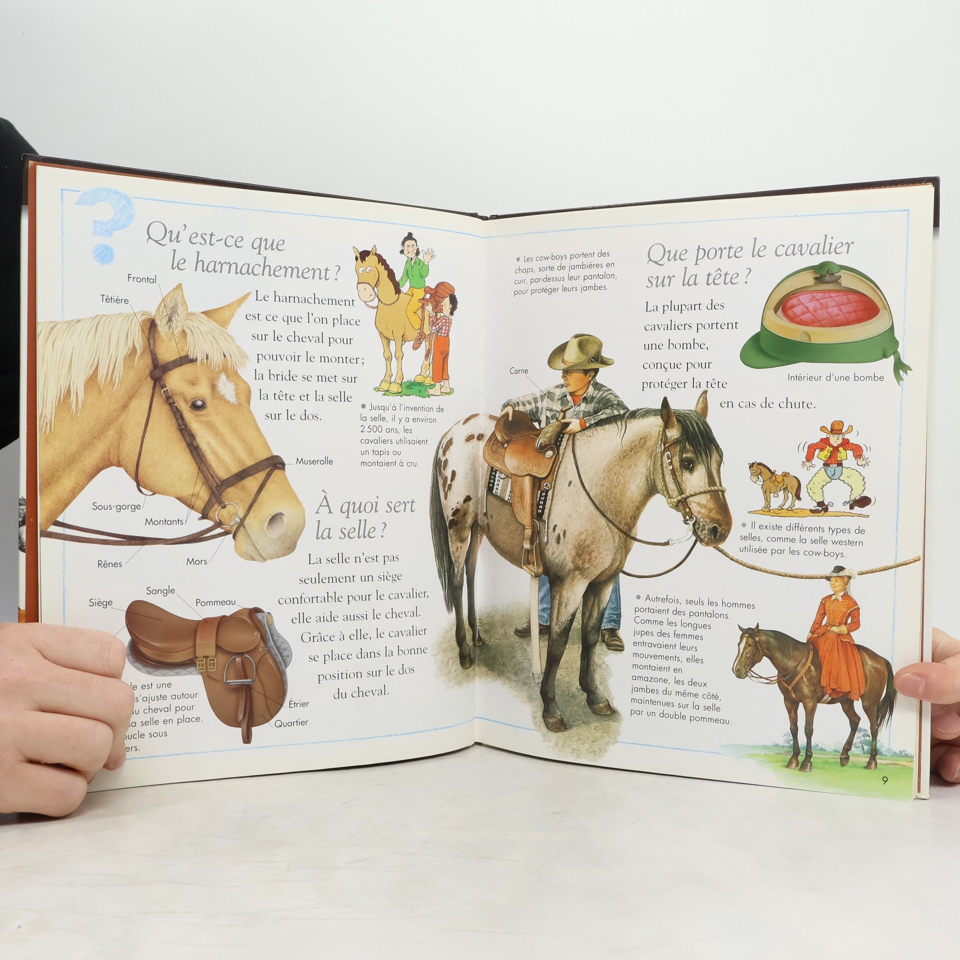 Kingfisher Publications, plc Les chevaux