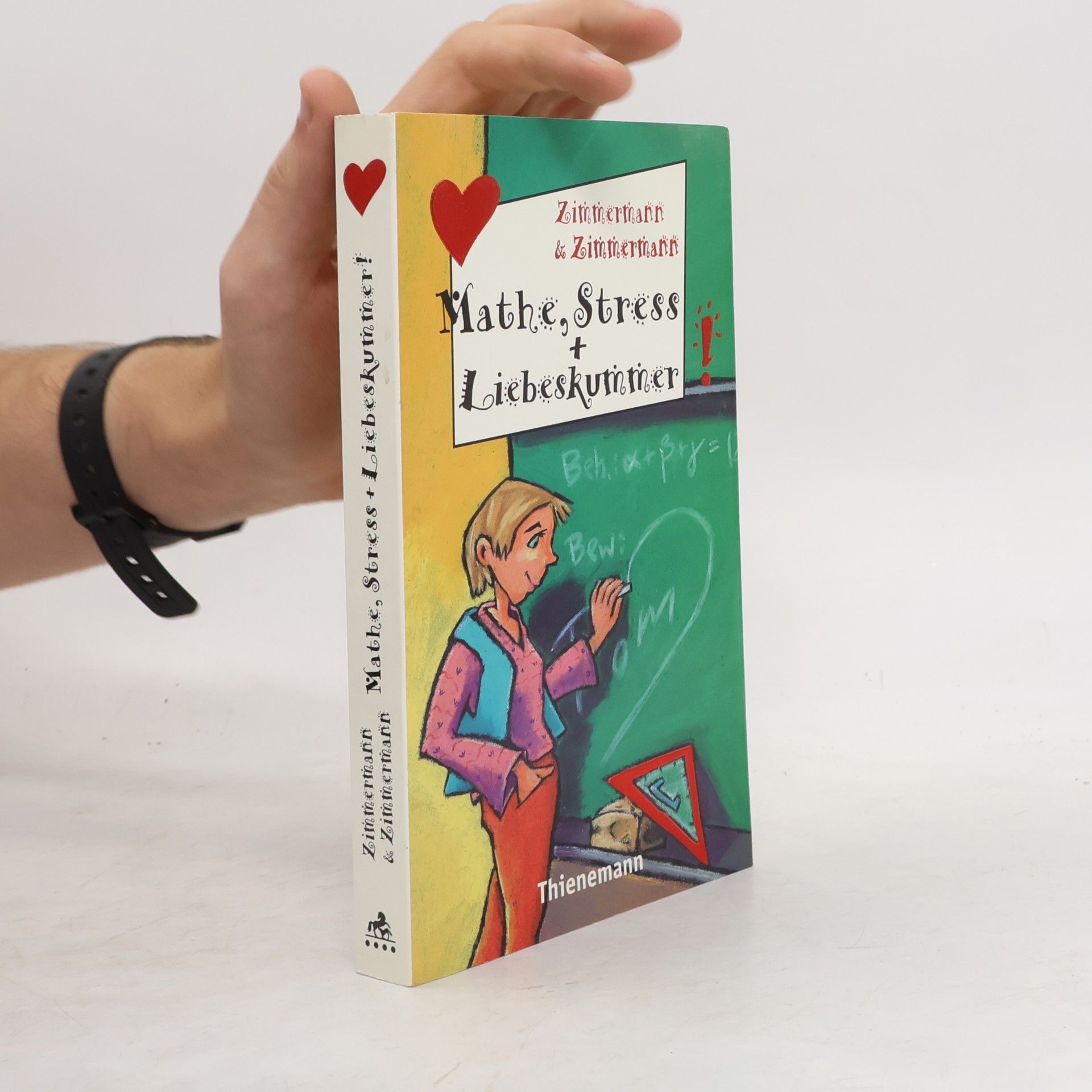 Irene Zimmermann Mathe, Stress + Liebeskummer!