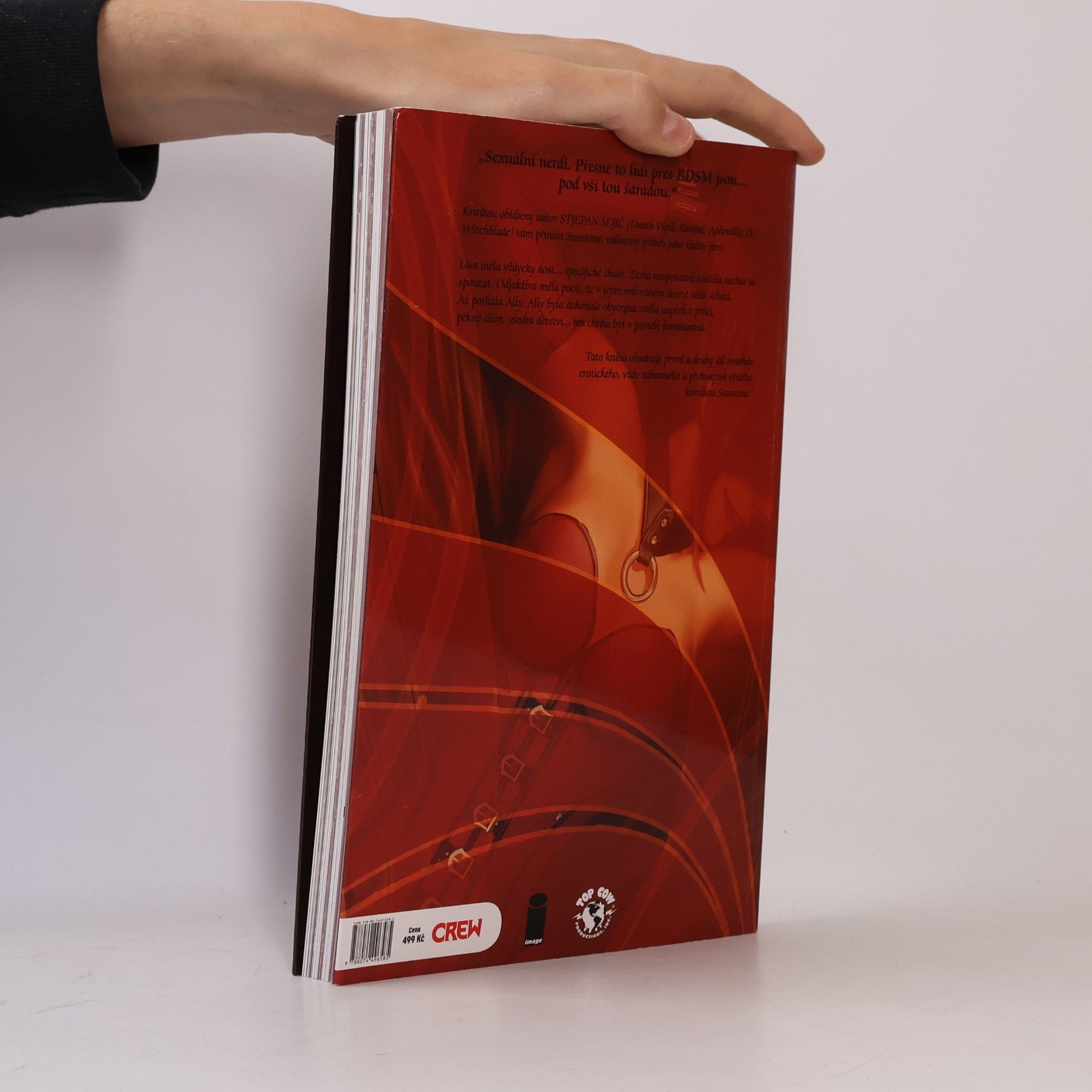 Stjepan Šejić Sunstone: Kniha první