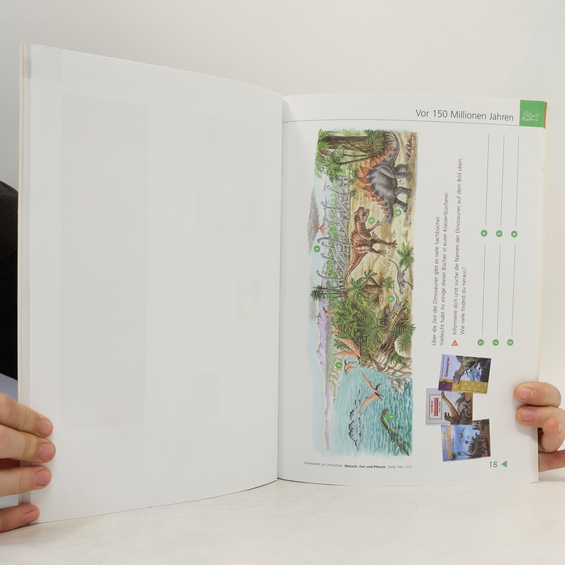 Mobile - Mensch, Natur und Kultur / Ausgabe Baden-Württemberg: Mobile - Mensch, Natur und Kultur: Arbeitsheft 4