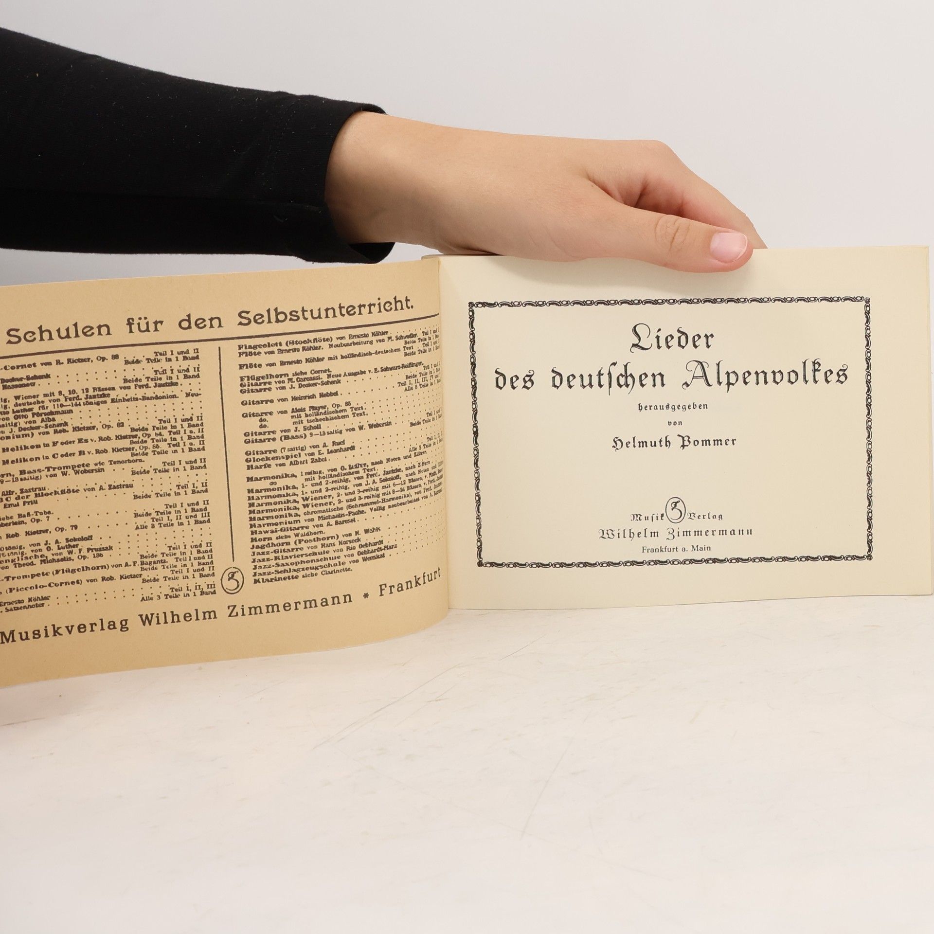 Autorenkollektiv Lieder des deutschen Alpenvolkes