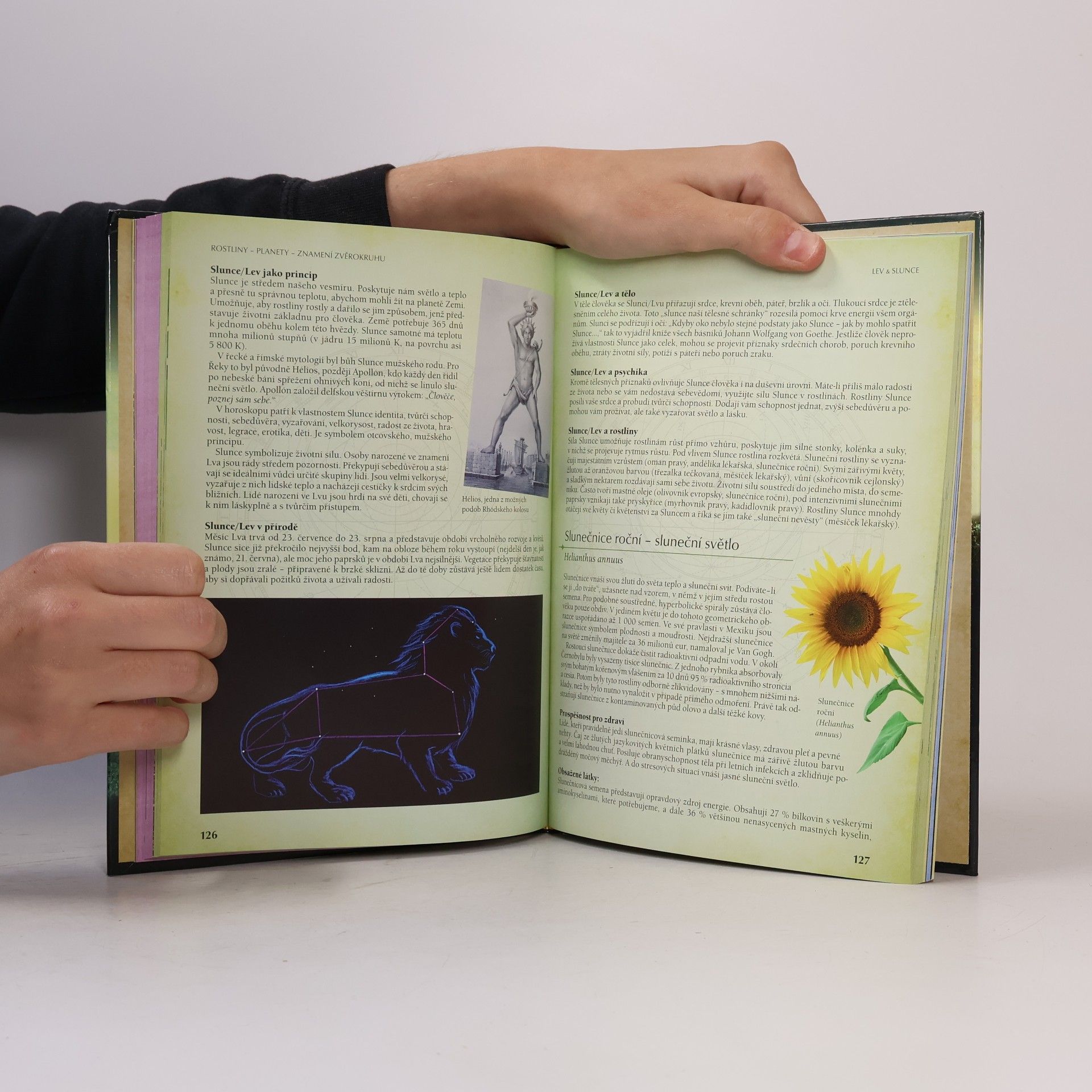 Yvonne H. Koch Astrologie rostlin : léčivá síla rostlin a planet