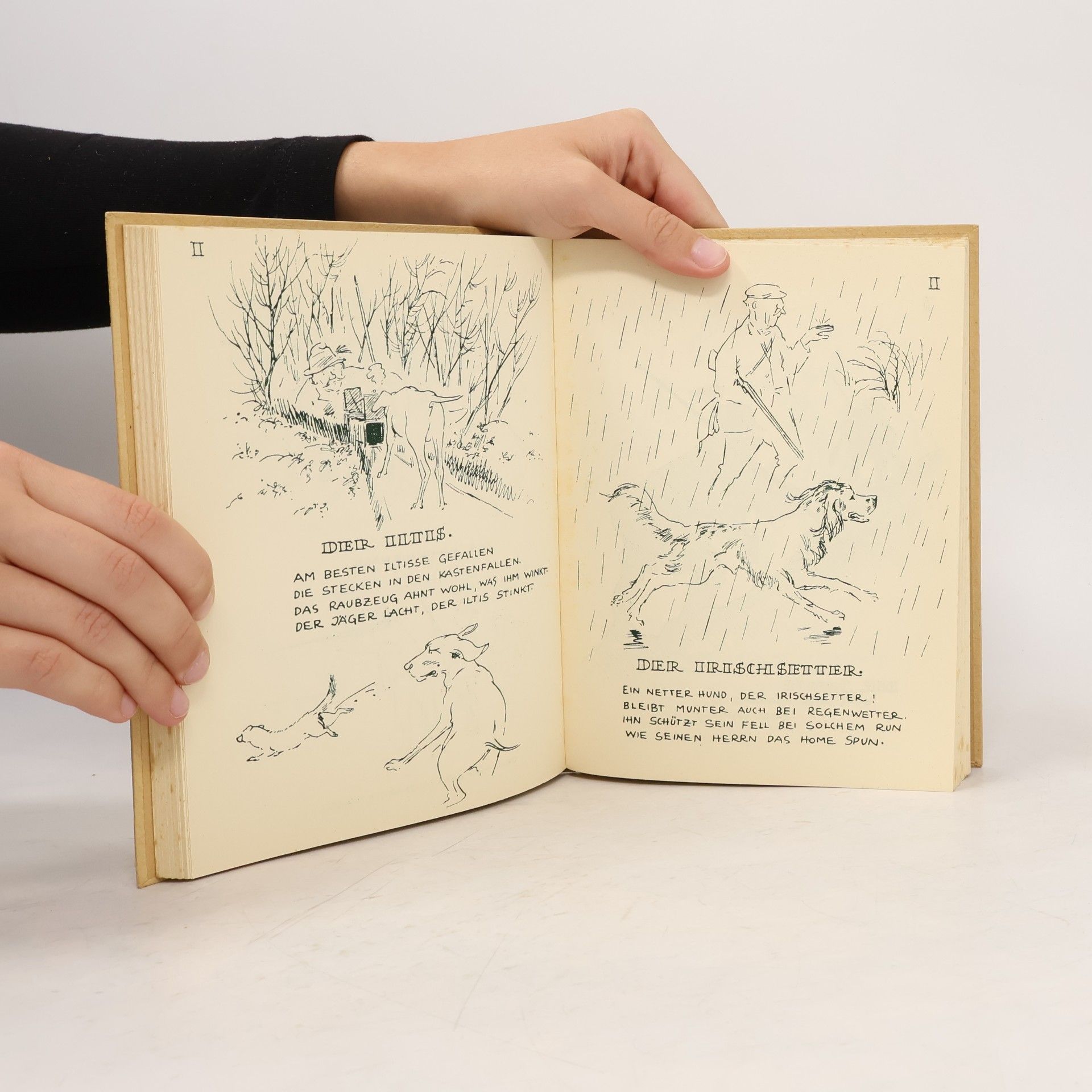 Eugen Ledebur Das Fröhliche Bestiarium