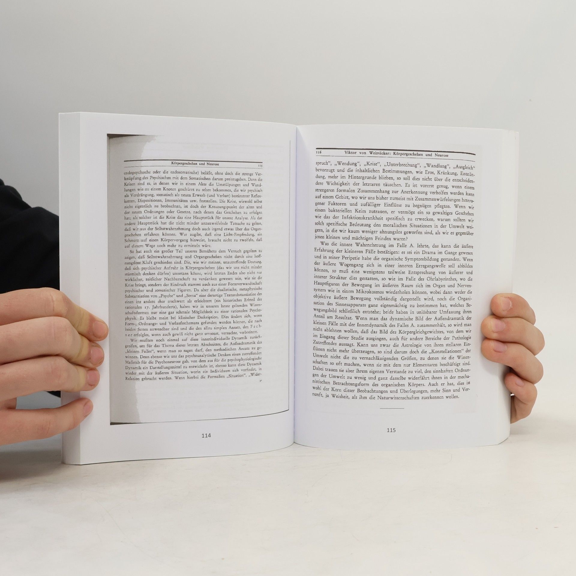 Sándor Ferenczi Sprachverwirrung zwischen den Erwachsenen und dem Kind